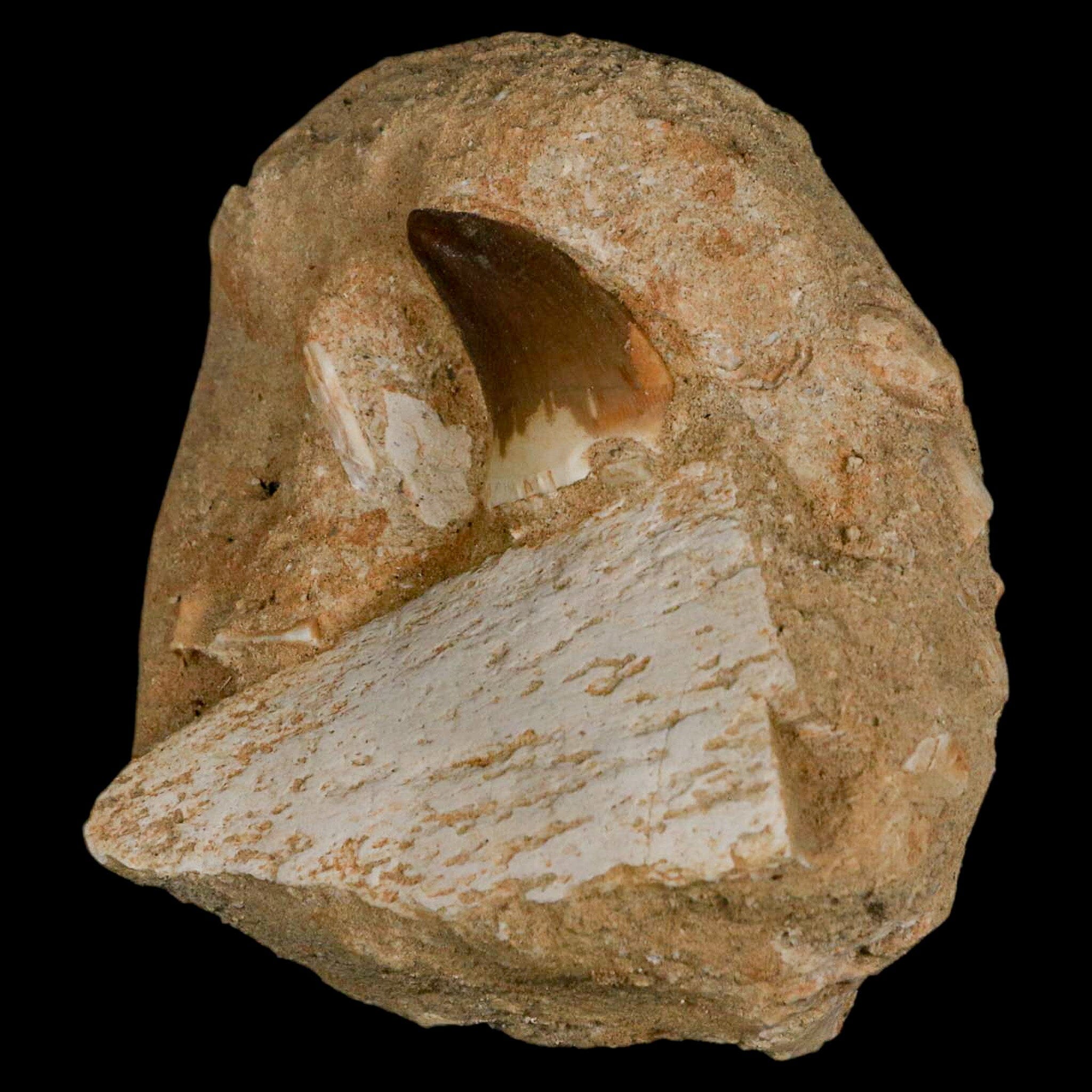 2.6