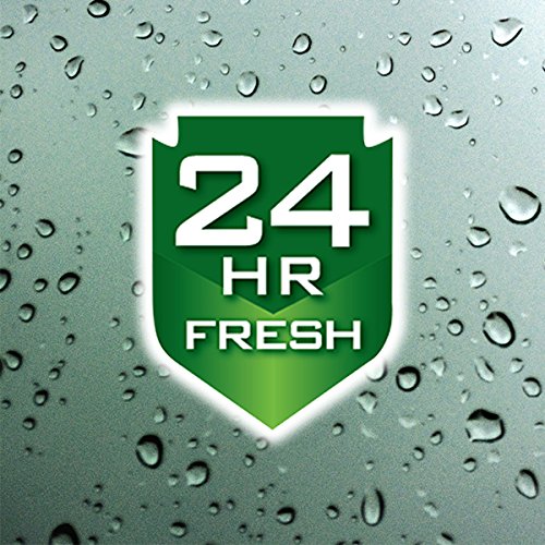 Irish Spring Body Wash for Men, Original Scent - 18 Fl Oz (Pack of 6) | Refreshing Daily Shower Gel for Gym, Work & Active Lifestyle
