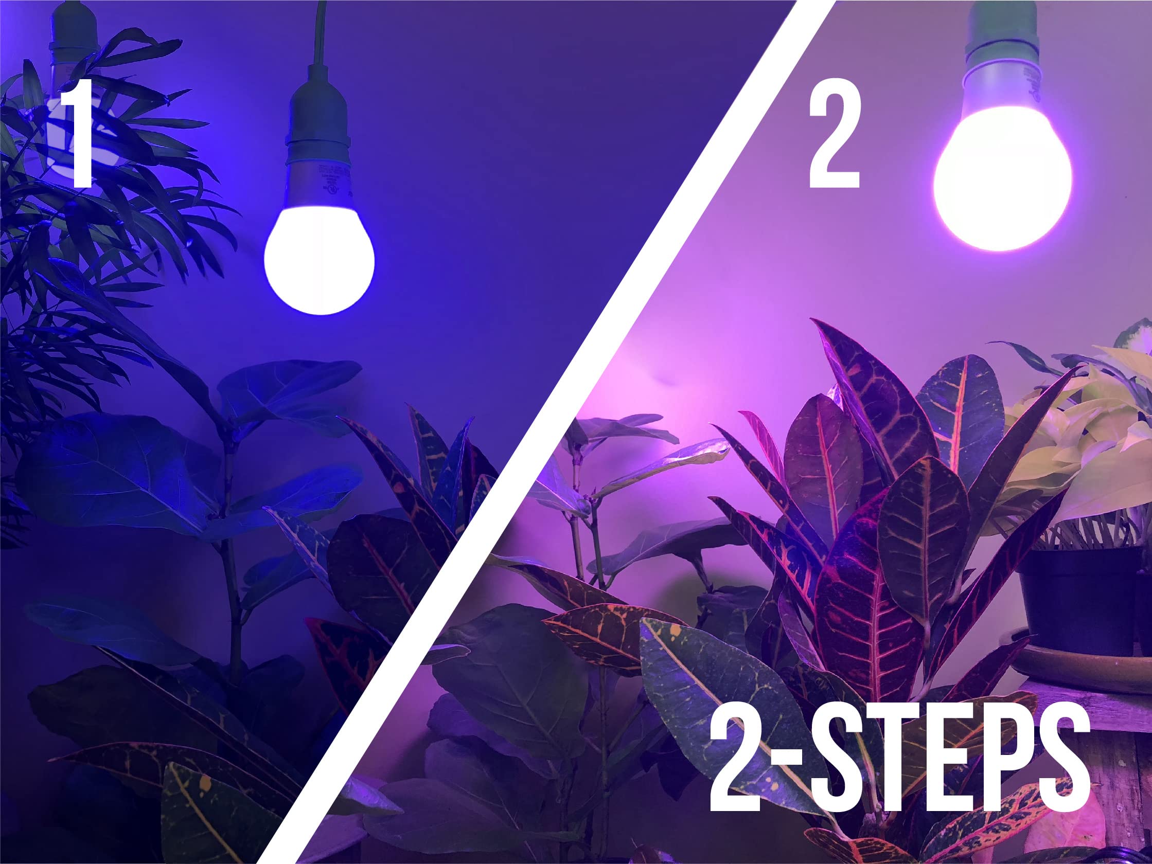 Miracle LED Plant Grow Light Kit - 4-Socket Synchronized System with 4 Blue & 4 Red/Blue Spectrum Bulbs + Sproutmatic Timer (3 Pack) - Perfect for Indoor Gardening, Hydroponics & Seed Starting