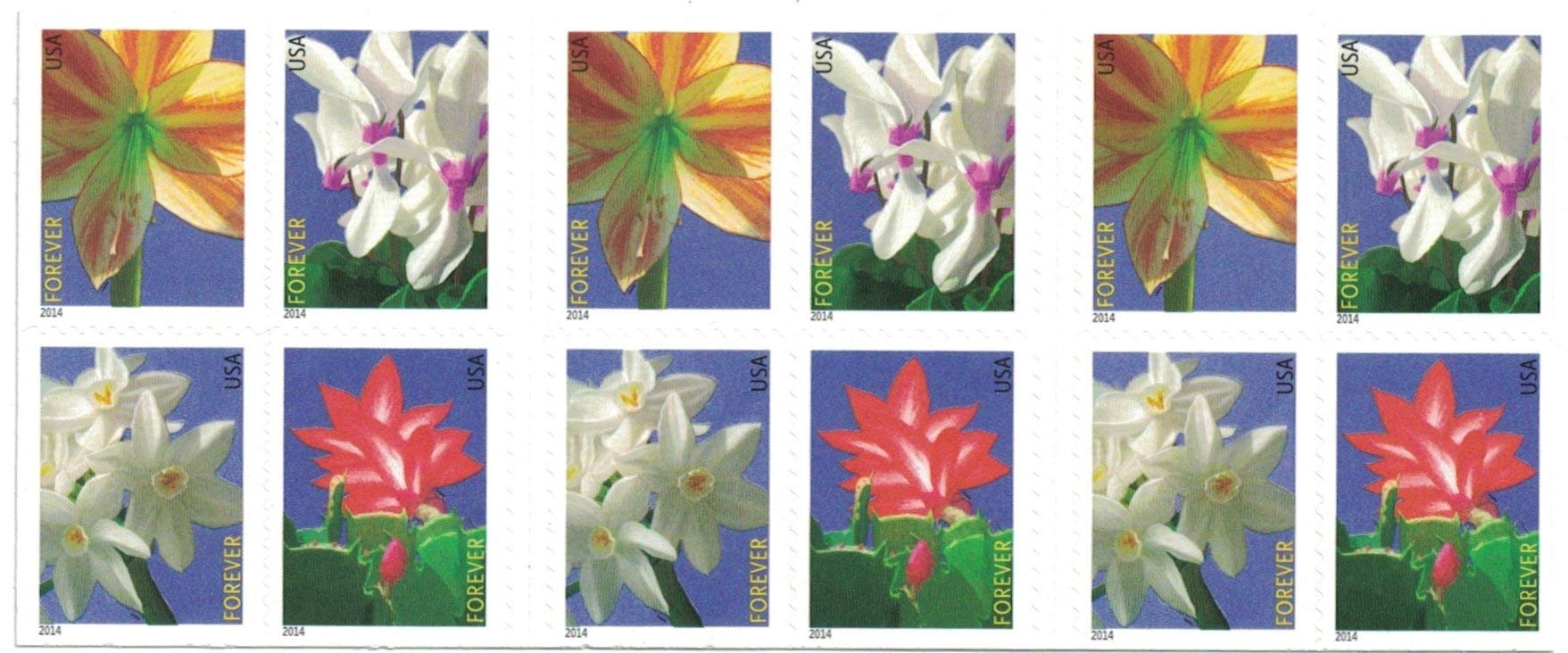 USPS Forever Postage Stamps - Winter Flowers Design - Booklet of 20 Stamps - Perfect for Holiday Cards, Wedding Invitations & Business Mailings