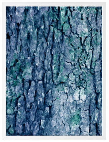 Crackling Moss Framed Wall Art Print - Nature Inspired Home Decor for Living Room, Bedroom & Office