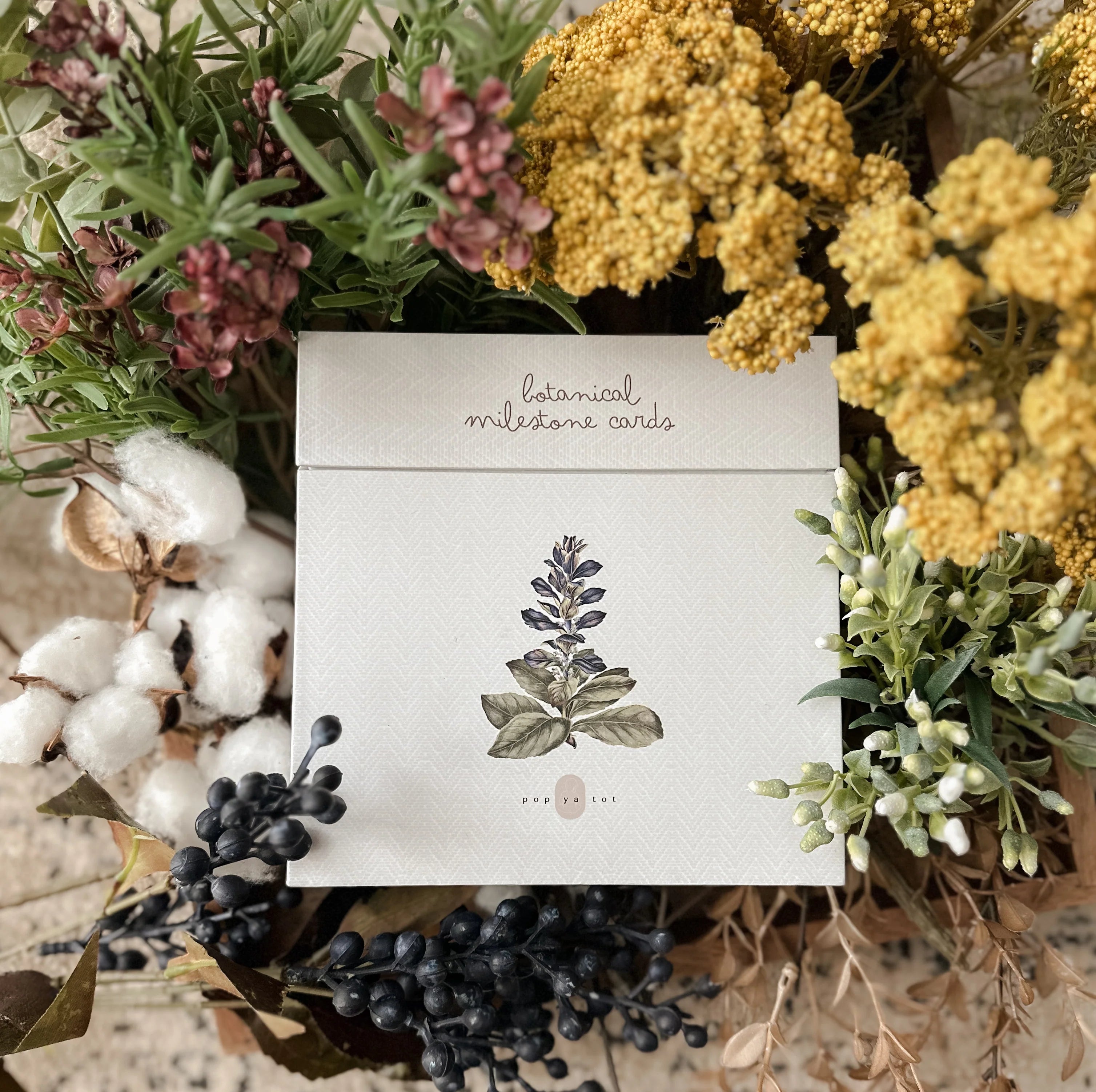 Pop Ya Tot Botanical Milestone Card Set - Baby Growth Photo Props & Newborn Memory Keepsake - Perfect for Monthly Baby Pictures, First Birthday, and Nursery Decor