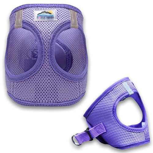 Paisley Purple