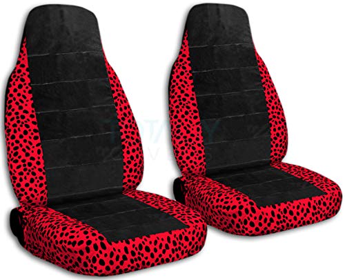 Ladybug & Black