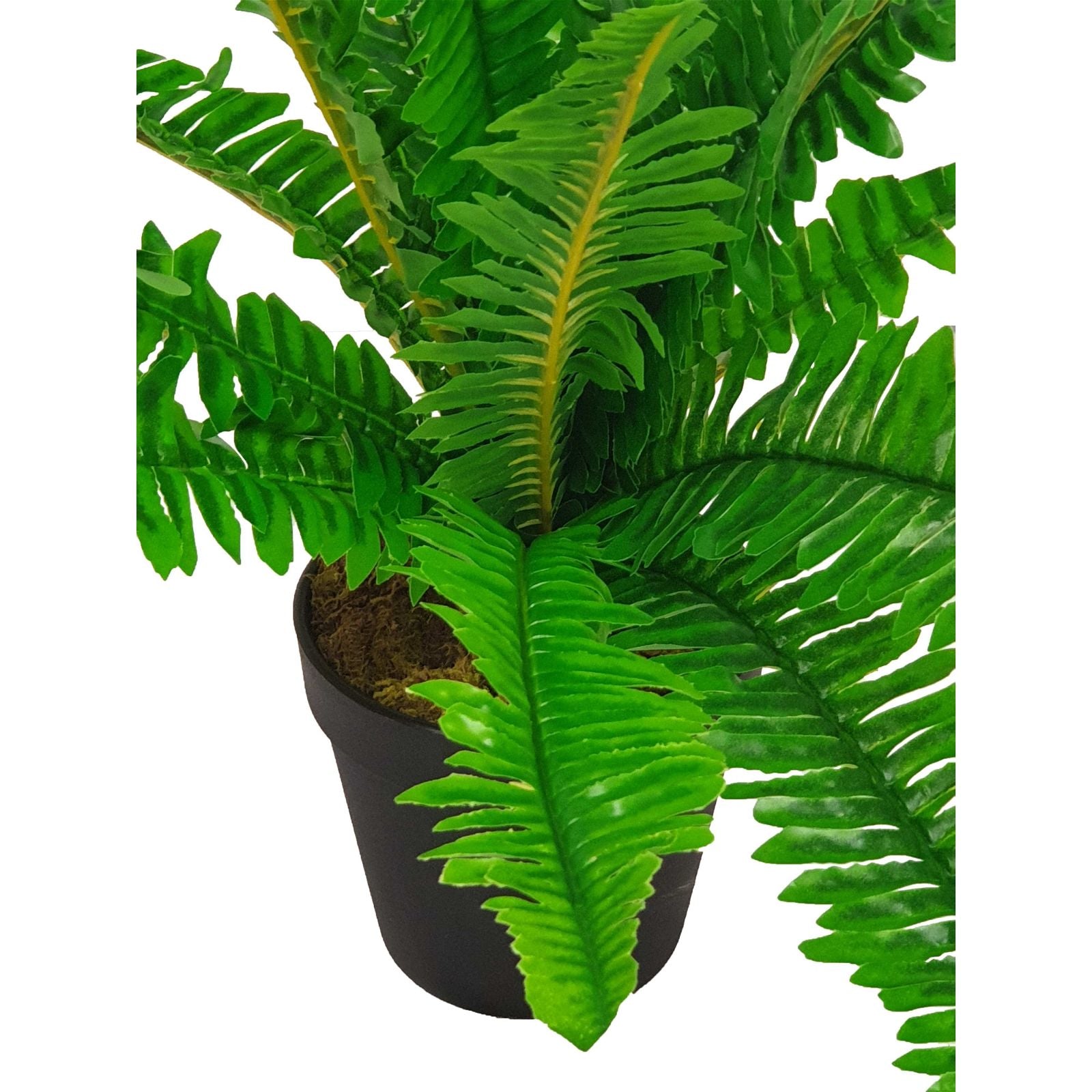 50cm Green Leaf Fern Artificial Plant by Criterion - Perfect for Home Decor, Office Spaces & Wedding Centerpieces