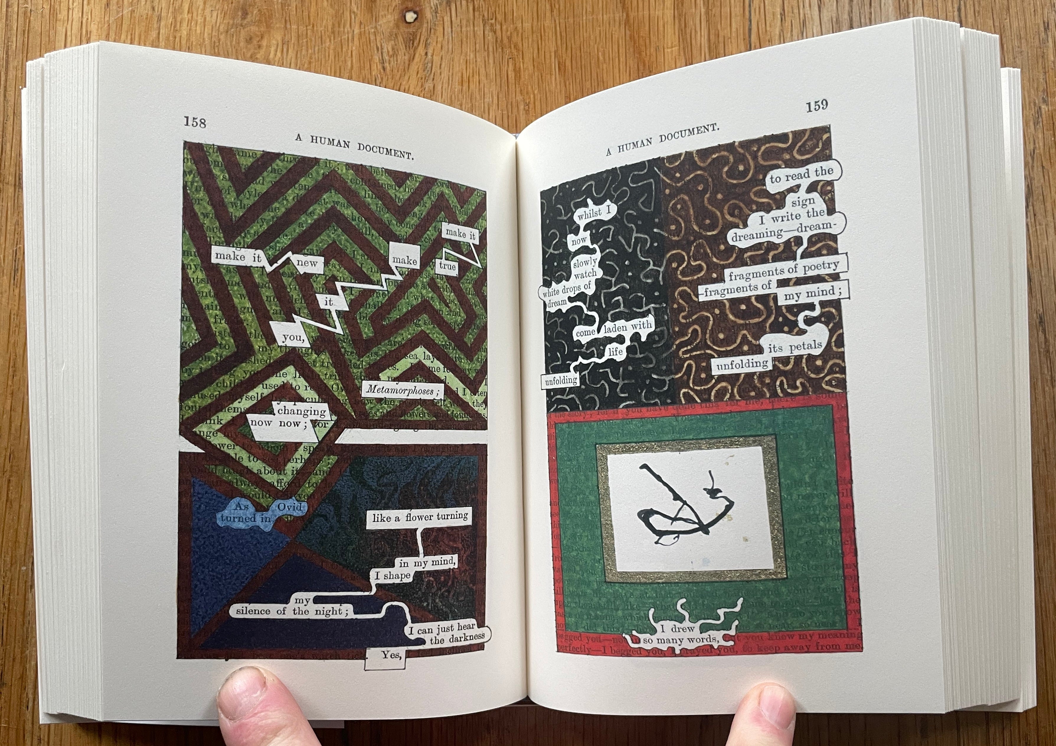 A Humument - Final Edition with Signed Print | Limited Collector's Art Book | Perfect for Book Lovers & Art Collectors | Home Decor & Gift Idea