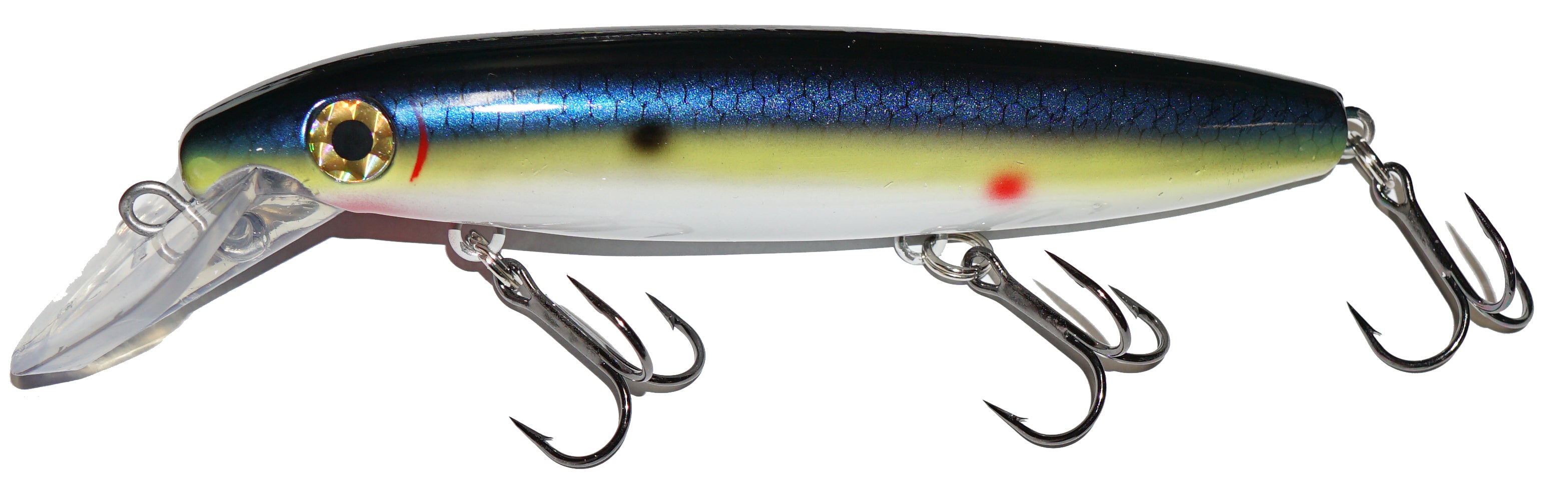 baitfish