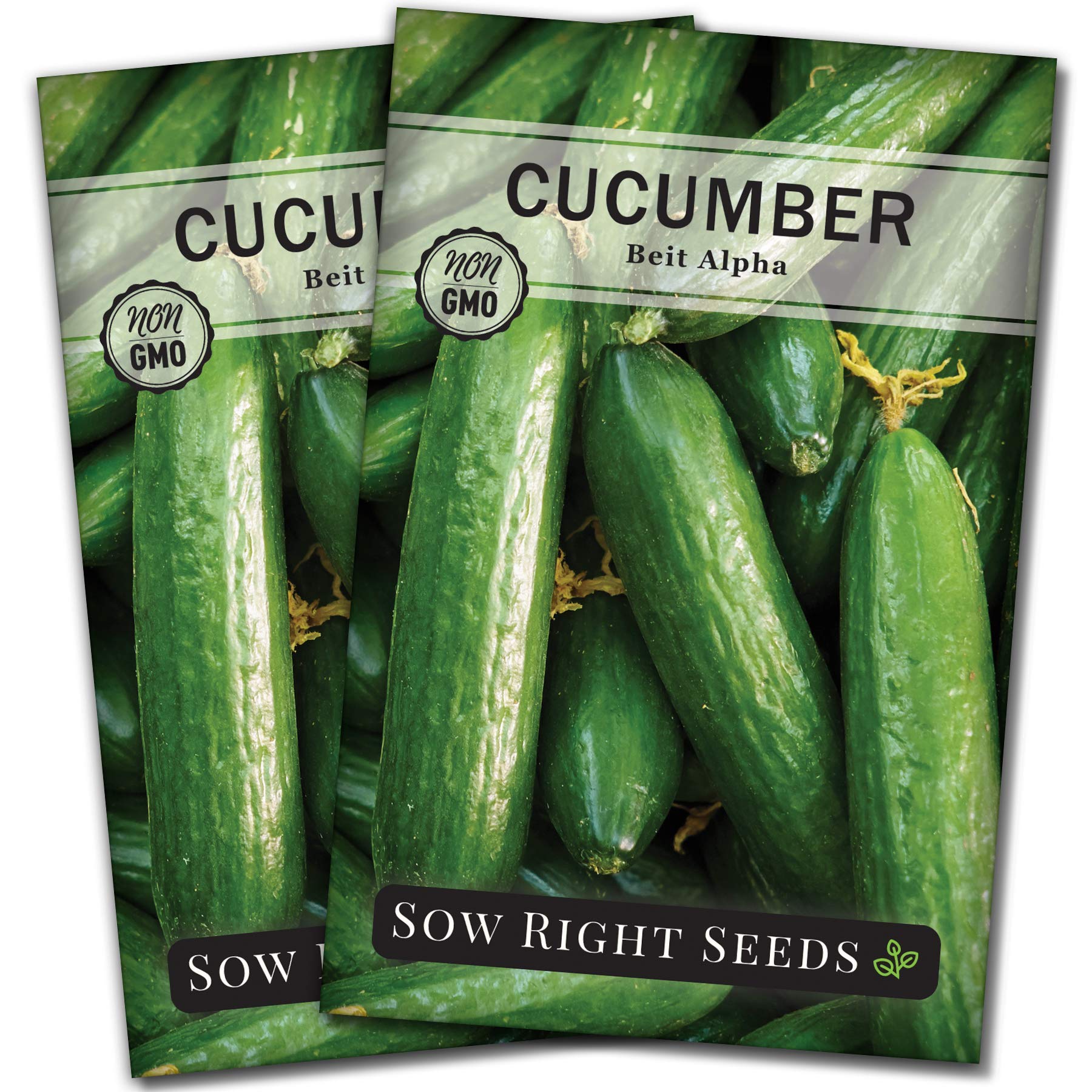 Sow Right Seeds - Non-GMO Heirloom Beit Alpha Cucumber Seeds for Planting - Home Vegetable Garden Starter Kit with Growing Instructions - Indoor & Outdoor Planting with Trellis - Perfect for Fresh Salads, Pickling, and Healthy Snacking (2 Pack)