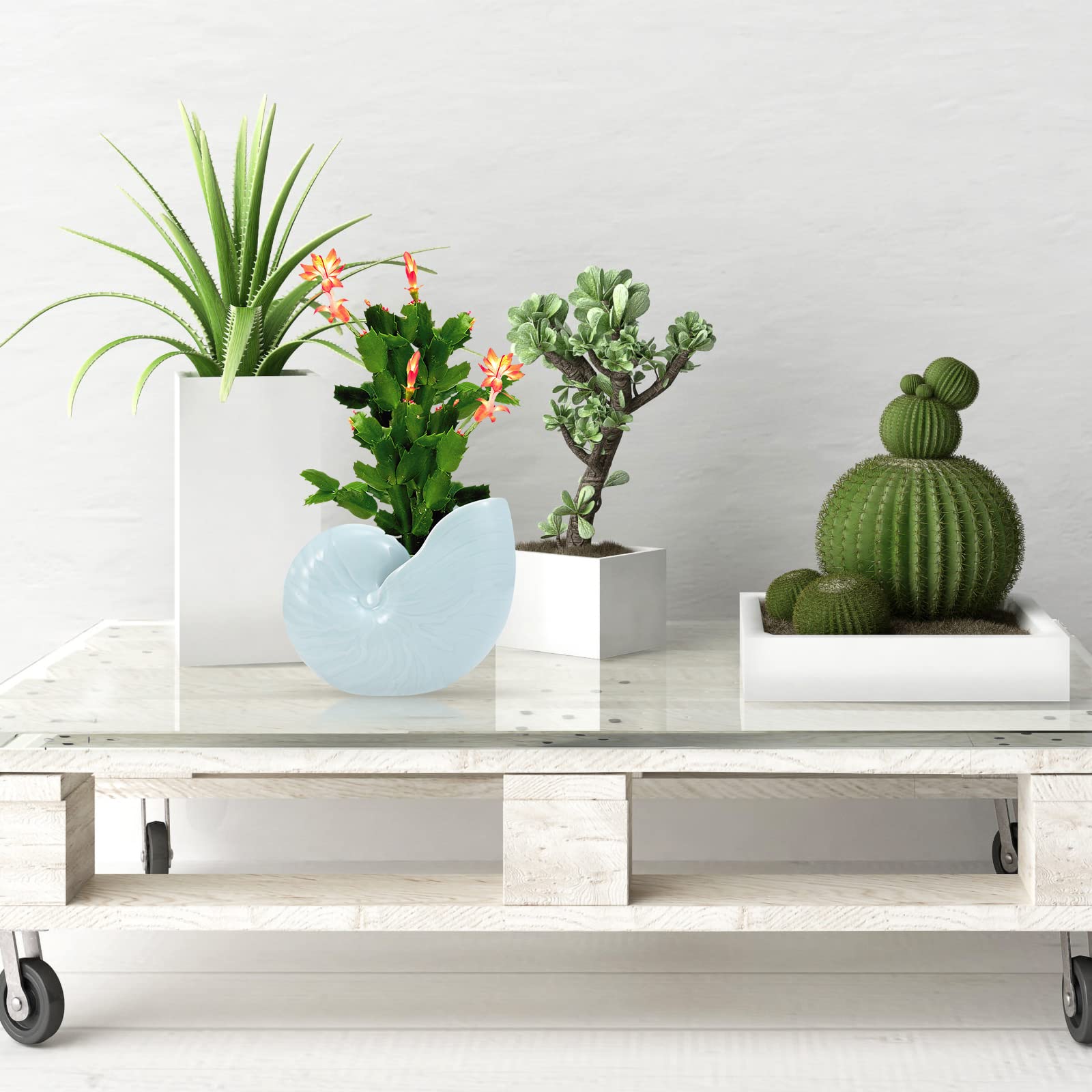 BESPORTBLE 1pc Ceramic Conch Planter Pot - Elegant Outdoor Flower Pot for Gardening, Hydroponics, Bonsai & Home Decor - Perfect for Patio, Balcony and Indoor Plants