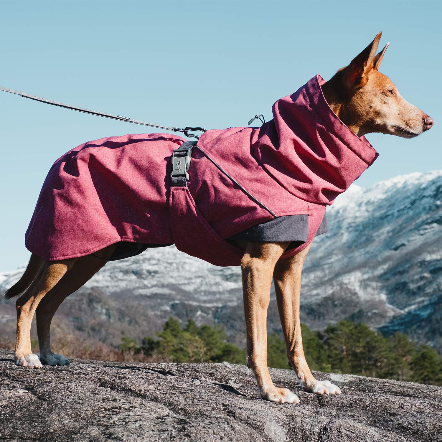 Hurtta Expedition Parka Winter Dog Coat for Large Dogs (24 in) - Waterproof & Insulated Beetroot Red - Ideal for Cold Weather, Hiking, and Outdoor Adventures