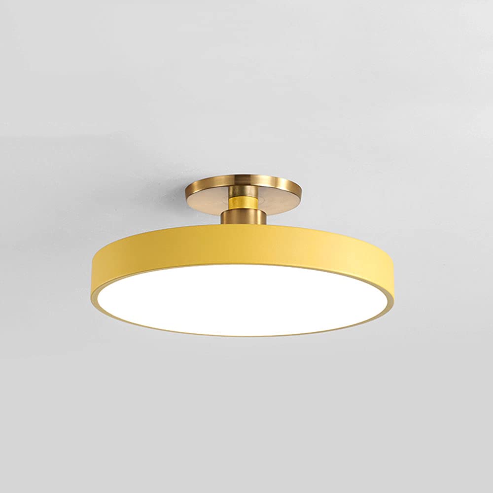 Nordic LED Ceiling Light - 16 Inch Round Ultra-Thin Flush Mount Fixture with Remote Control, Dimmable Warm Yellow Light for Bedroom, Living Room & Kitchen | Modern Minimalist Home Lighting Design