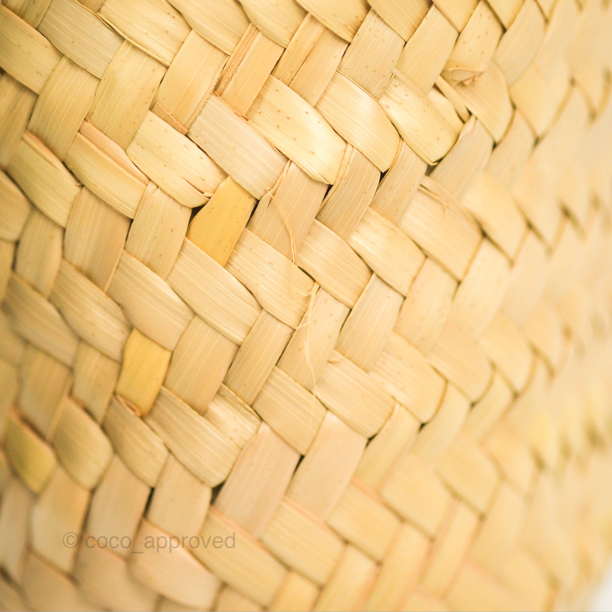 Celine Nano Triomphe Bag in Palm Leaves Calfskin Tan - Luxury Crossbody Purse for Women, Perfect for Everyday Use & Special Occasions
