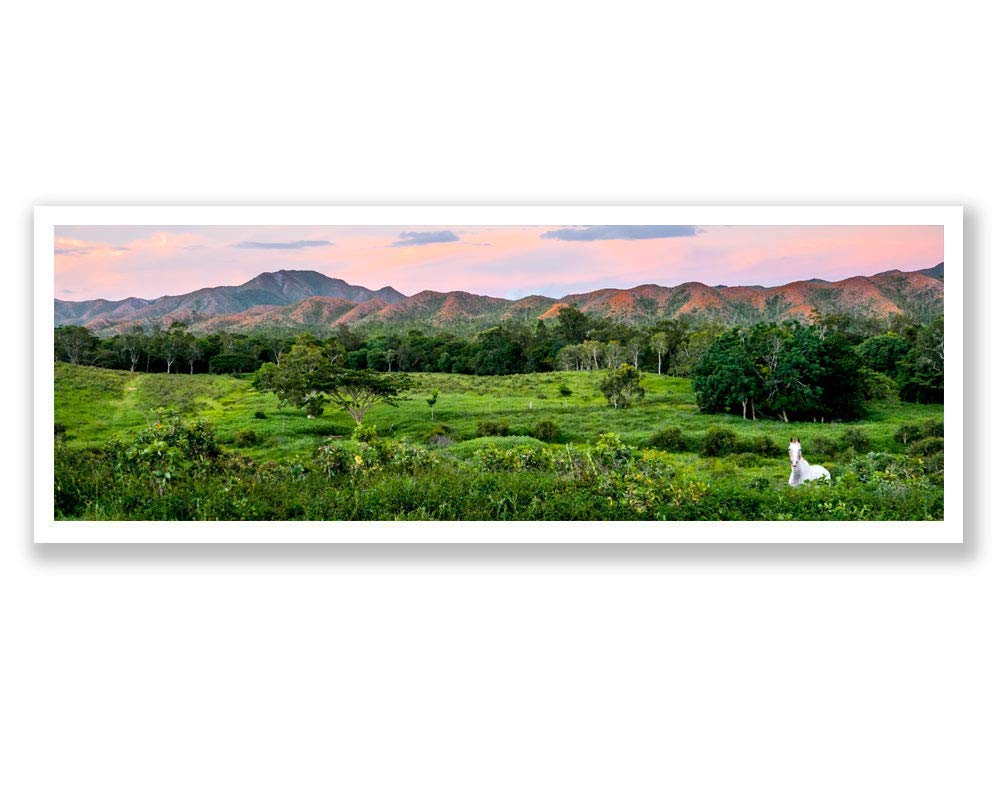 Tropical Sunset Panoramic Wall Art - Wild Horse Pasture Landscape Photography Print for Living Room & Bedroom Decor