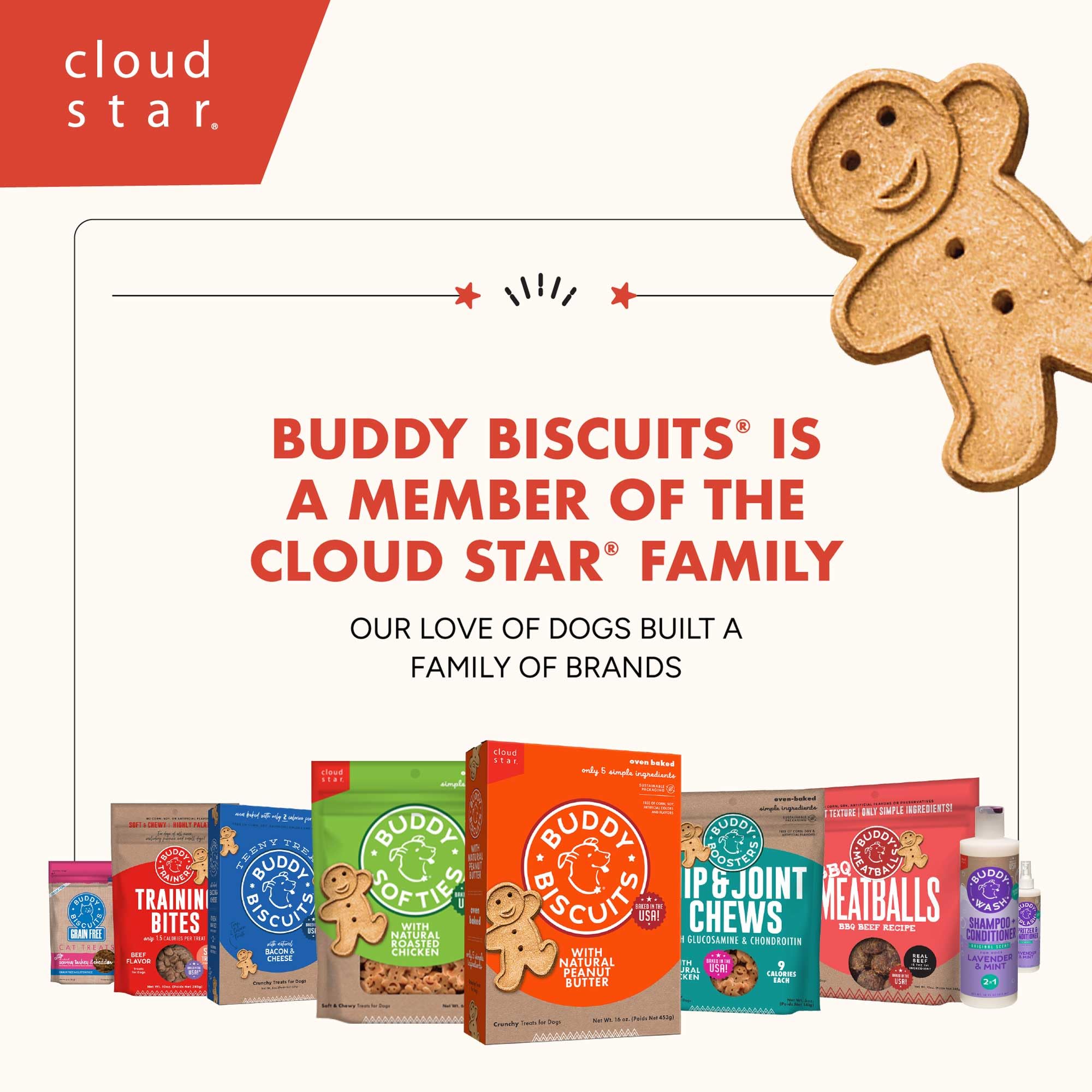 Cloud Star Grain Free Oven Baked Buddy Biscuits Dog Treats - Homestyle Peanut Butter Flavor, 14oz (Pack of 12) | Healthy Natural Snacks for Small & Large Dogs | Perfect for Training Rewards & Daily Treats