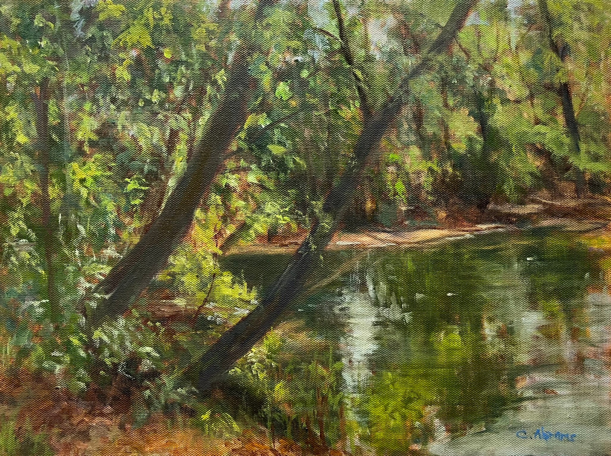 Celia Abrams Creek Reflections Swarthmore - Original Art Painting for Home Decor, Office Wall Art, Gift for Art Lovers - Perfect for Living Room, Bedroom & Gallery Display