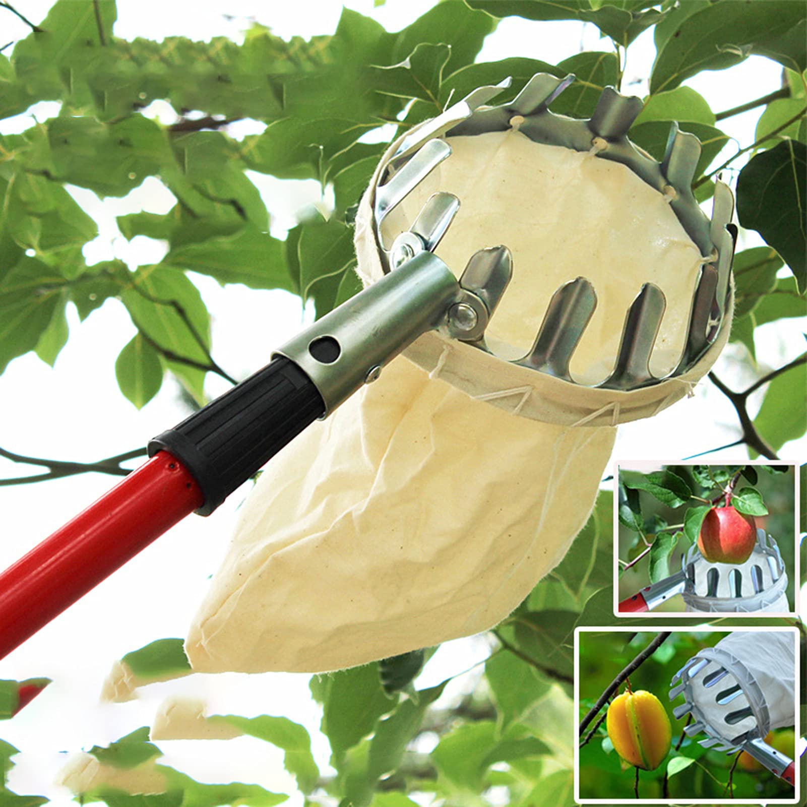 Stainless Steel Fruit Picker Tool with Basket - Extendable Cherry, Apple, Pear, Peach & Citrus Harvester for Home Garden Harvesting | Perfect for Backyard Orchards and Small Farms