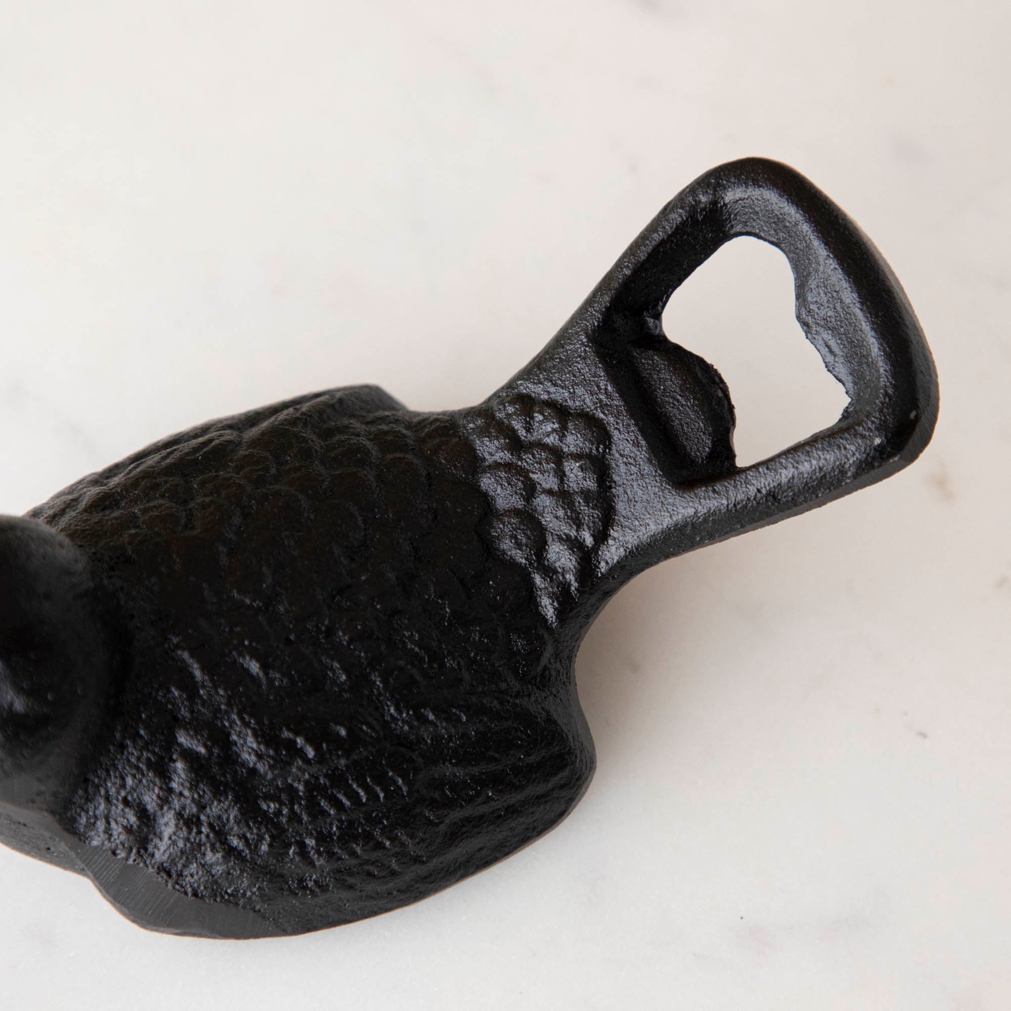 Vintage Cast Iron Bird Bottle Opener - Rustic Wall Mounted Beer Bottle Cap Remover for Home Bar, Kitchen & Outdoor BBQ Parties