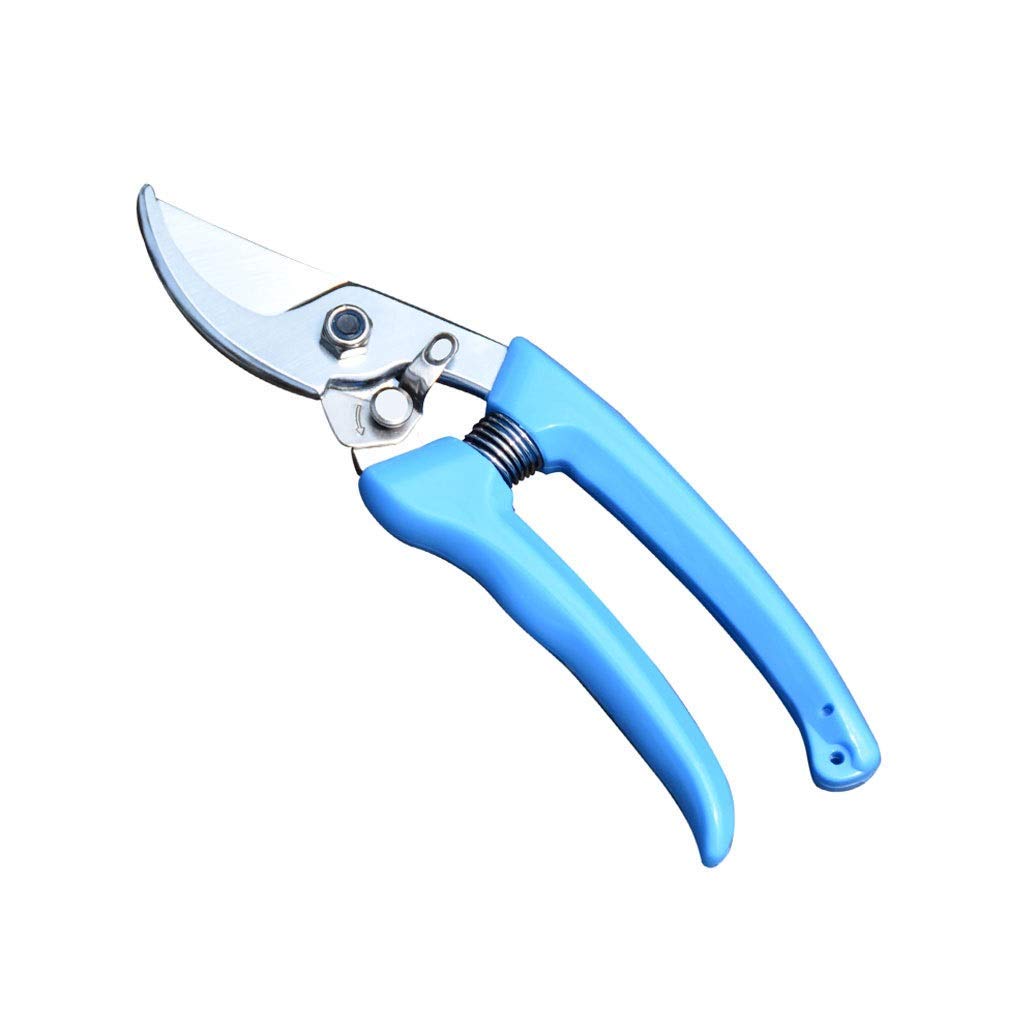 Premium Stainless Steel Bypass Pruning Shears - Sharp Garden Shears for Plants, Flowers & Shrubs - Ergonomic Non-Slip Handles - Ideal for Gardening, Landscaping & Outdoor Trimming