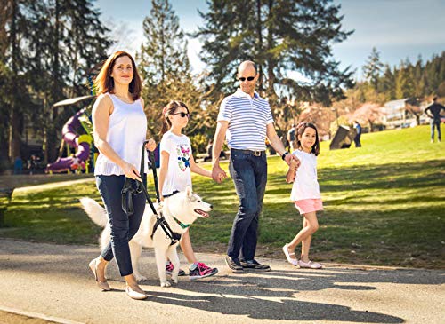 No Pull Dog Harness for Small Dogs - RC Pets Tempo Adjustable Pet Harness in Heather Teal | Perfect for Walking, Training & Outdoor Adventures