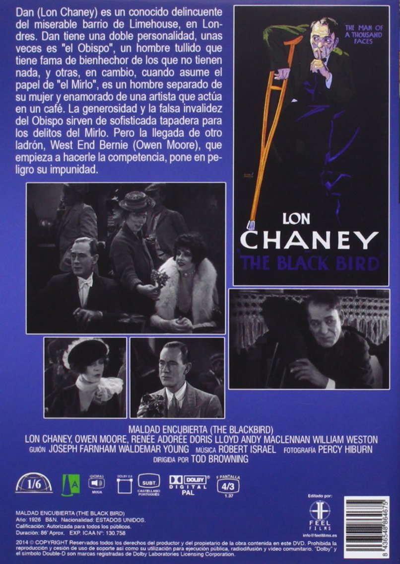 The Blackbird DVD - Region 0 PAL Format (Spain Import) - Classic Film for Movie Collectors & International Cinema Lovers