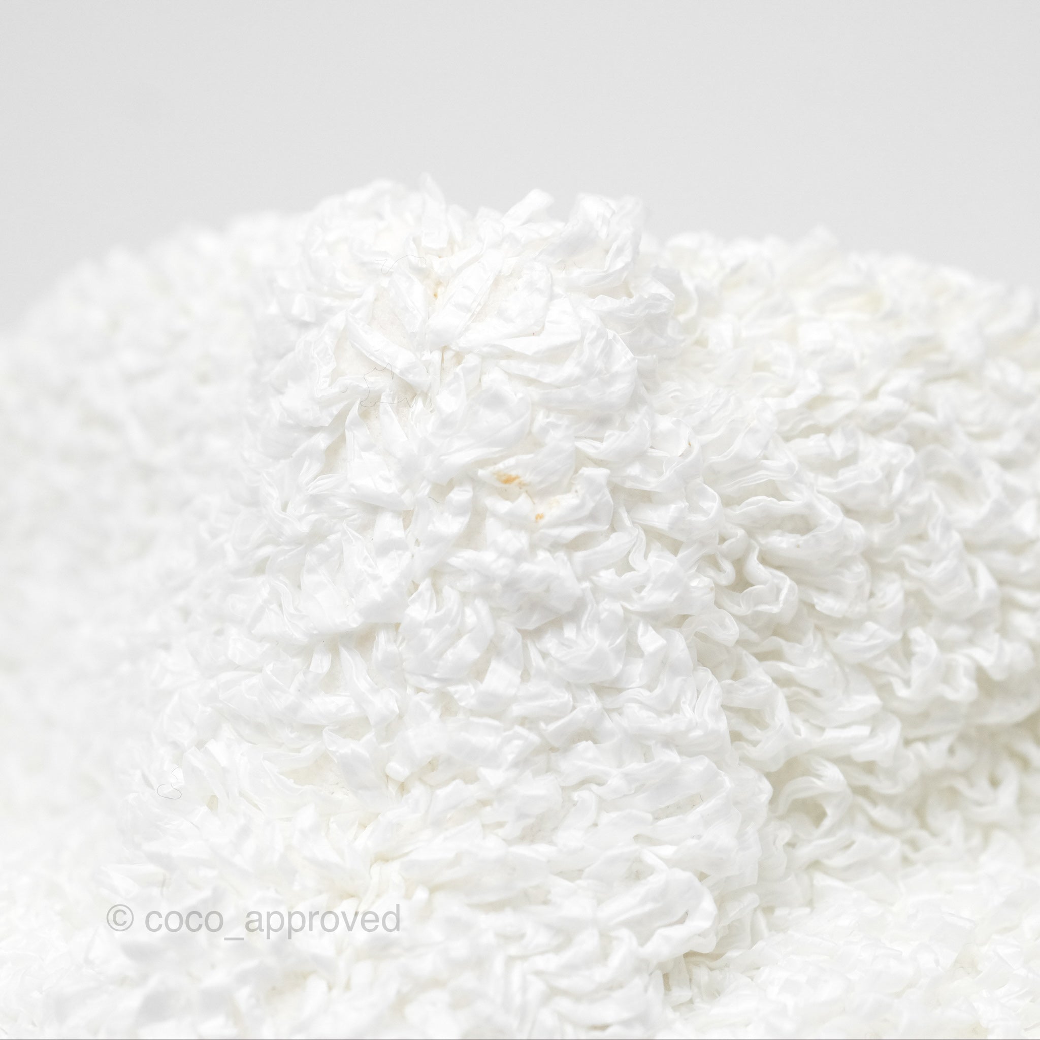 Bottega Veneta Mini Pouch Boucle Raffia Bag in White - Perfect for Summer Outings & Beach Vacations