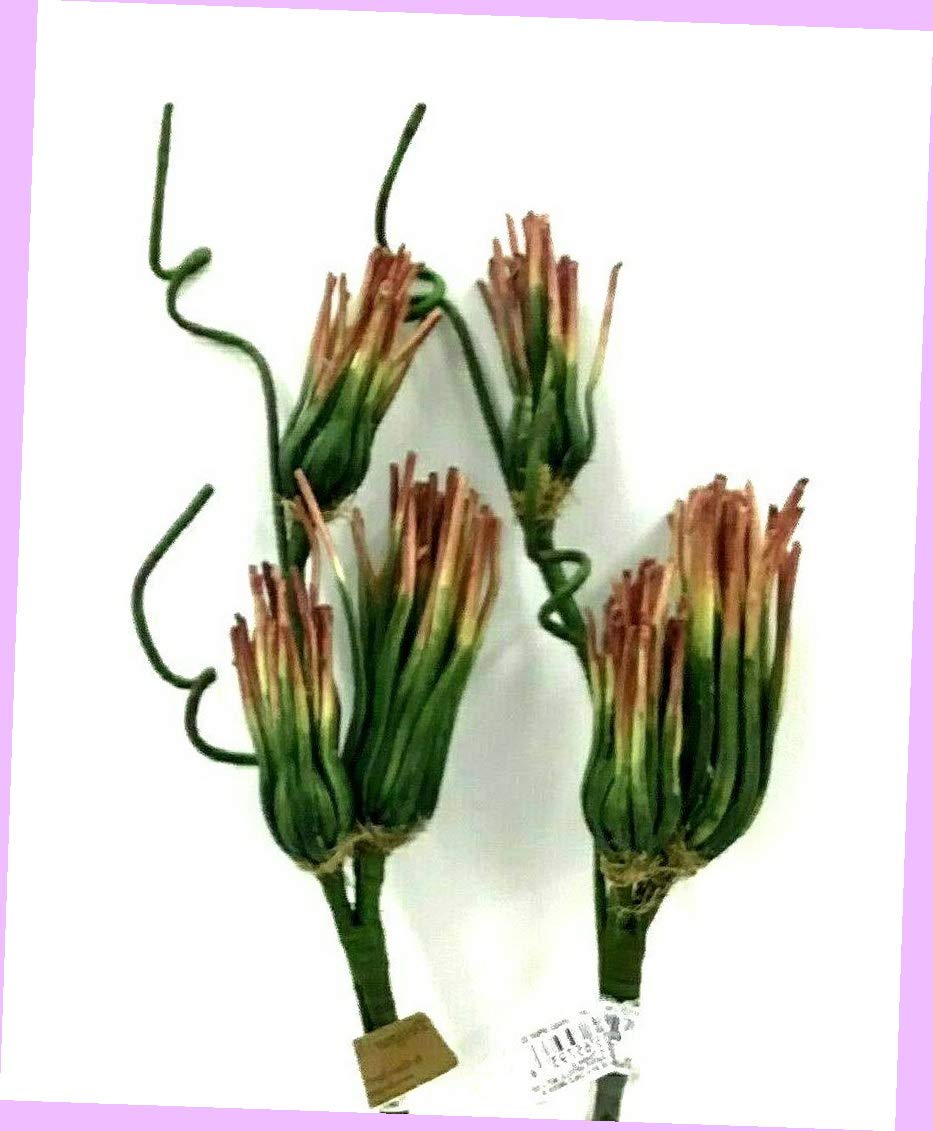 Realistic Artificial Onion Grass Spray Stems - Set of 2 Green & Rust Tone 22