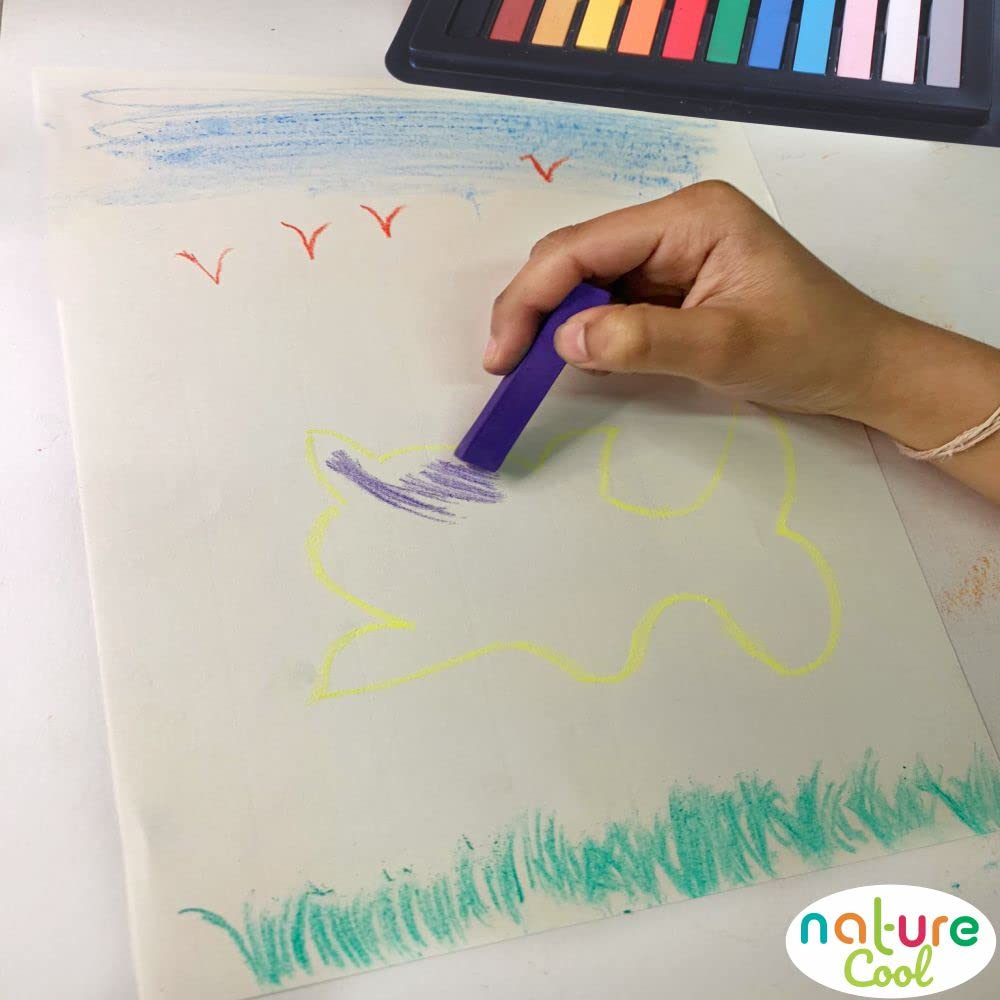 12 Assorted Soft Pastels Set - Non Toxic Chalk Pastel Sticks for Art Drawing, Scrapbooking | Ideal for Beginners, Kids & Professional Artists | Perfect for Classroom, Home Studio & DIY Craft Projects