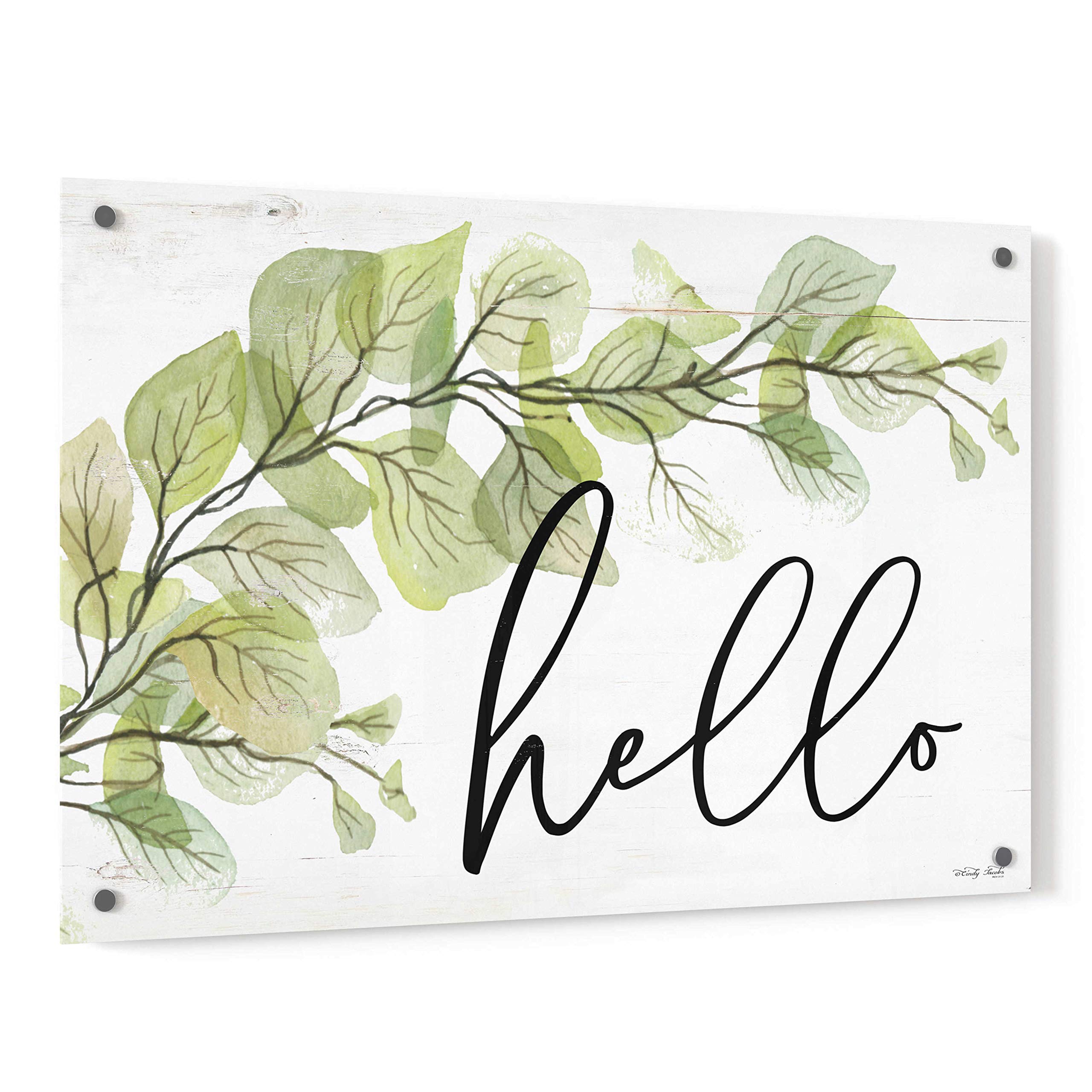 Epic 'Hello' Acrylic Glass Wall Art by Cindy Jacobs - 36x24 Inches Modern Abstract Painting for Living Room, Bedroom & Office Decor