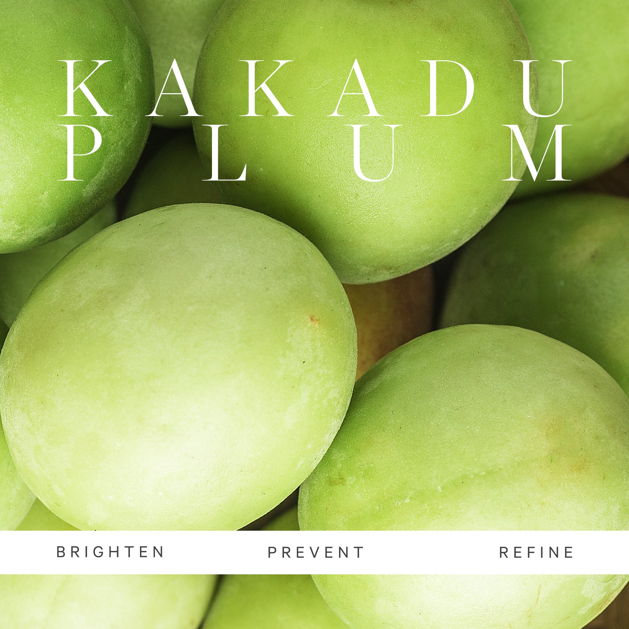 Best Kakadu Plum Vitamin C Serum for Brightening & Anti-Aging | Organic Face Serum for Glowing Skin | Day & Night Skincare Routine