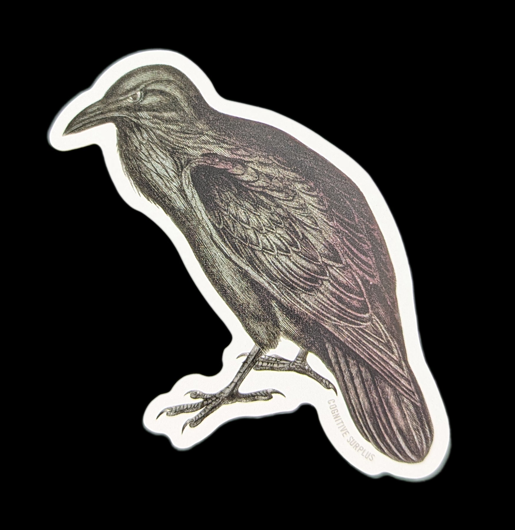 Raven Sticker - Waterproof Vinyl Decal for Laptops, Cars, Windows - Perfect for Gothic Decor, Halloween, and Outdoor Use