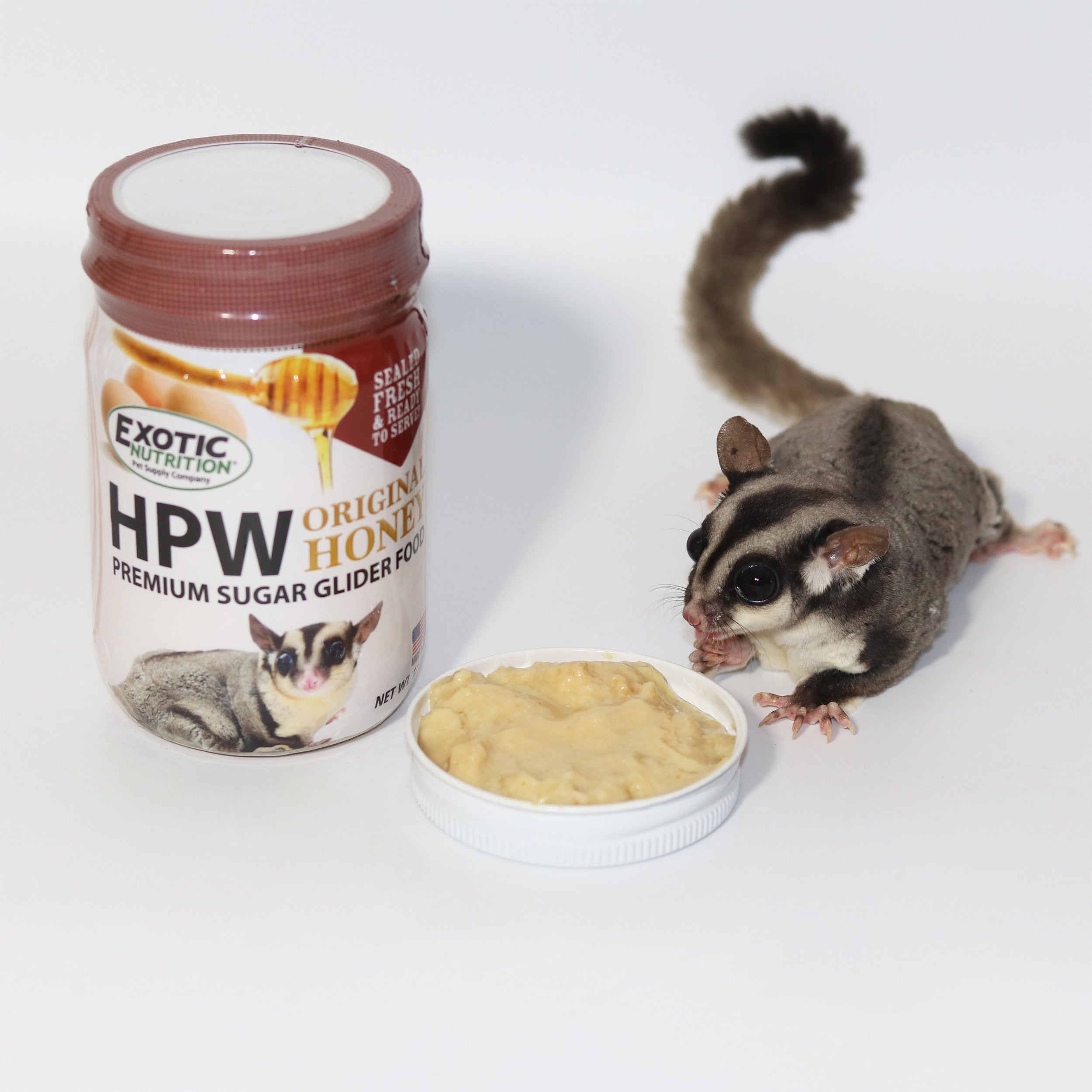 Premium HPW Sugar Glider Complete Diet Food - High Protein Nutritional Powder Mix for Exotic Pets - Ideal for Sugar Gliders, Flying Squirrels & Small Marsupials - Perfect for Daily Feeding & Breeding Nutrition