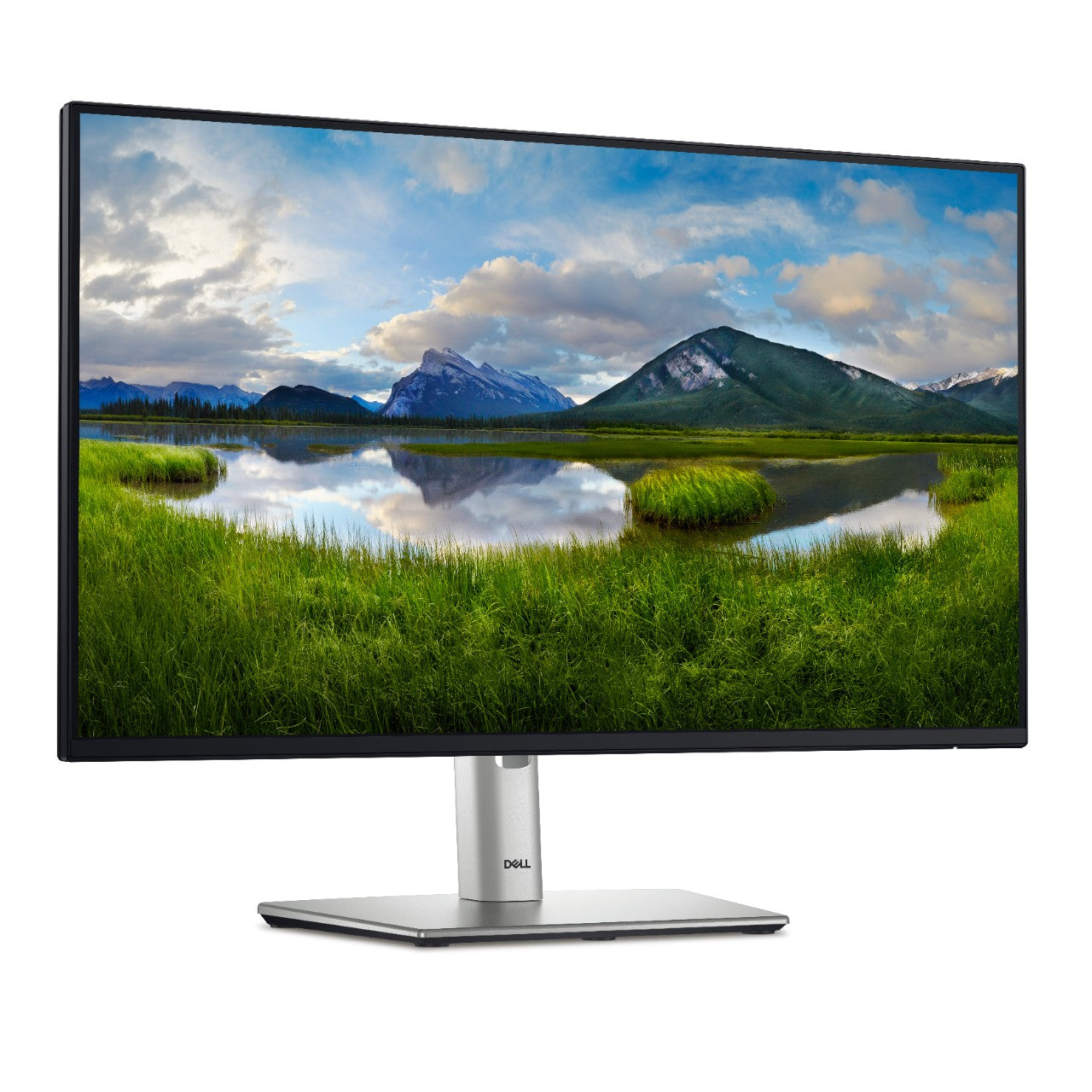 Dell P2425H 23.8 Inch 100Hz IPS Monitor - Full HD 1080p Display with HDMI & VGA Ports for Home Office, Gaming, and Graphic Design Workspaces