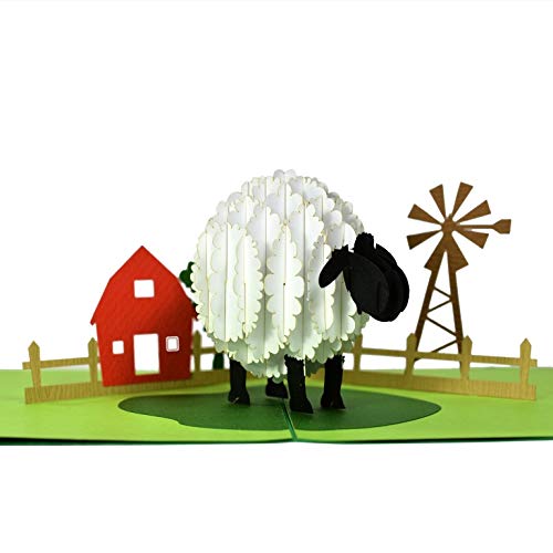 Sheep