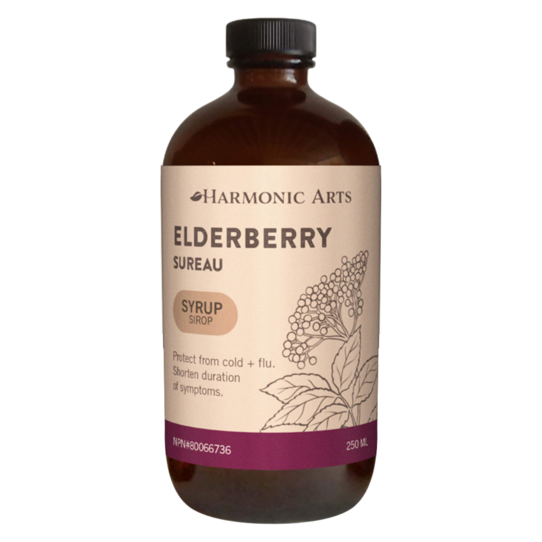 Organic Elderberry Syrup for Immune Support - Natural Cold & Flu Relief - Rich in Antioxidants & Vitamin C - Great for Daily Wellness & Boosting Immunity - Perfect for Kids & Adults