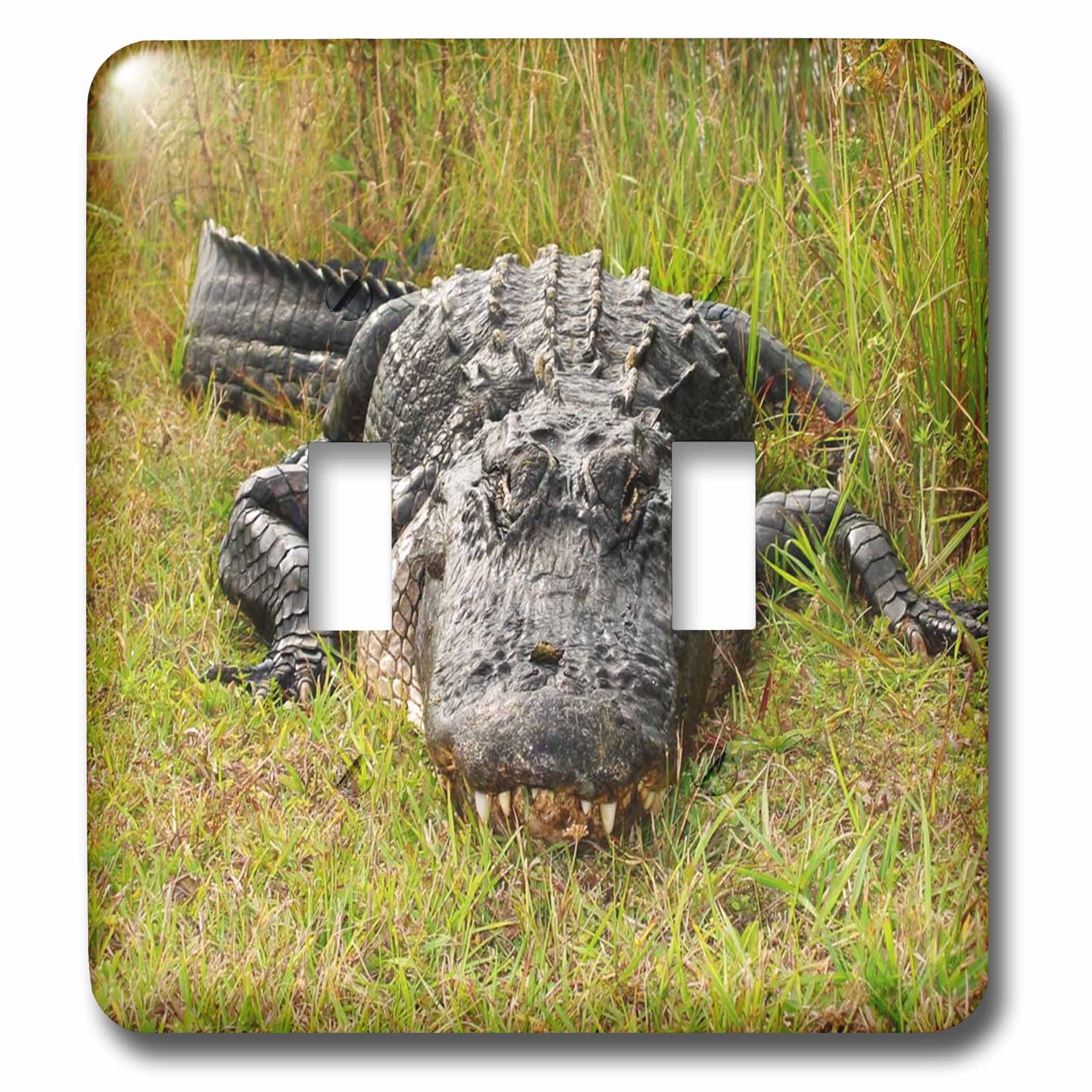 3D Rose Florida Gator Double Toggle Switch Cover - Large Size for Wall Plates, Perfect for Home Decor & Fan Accessories in Living Room, Bedroom, or Office