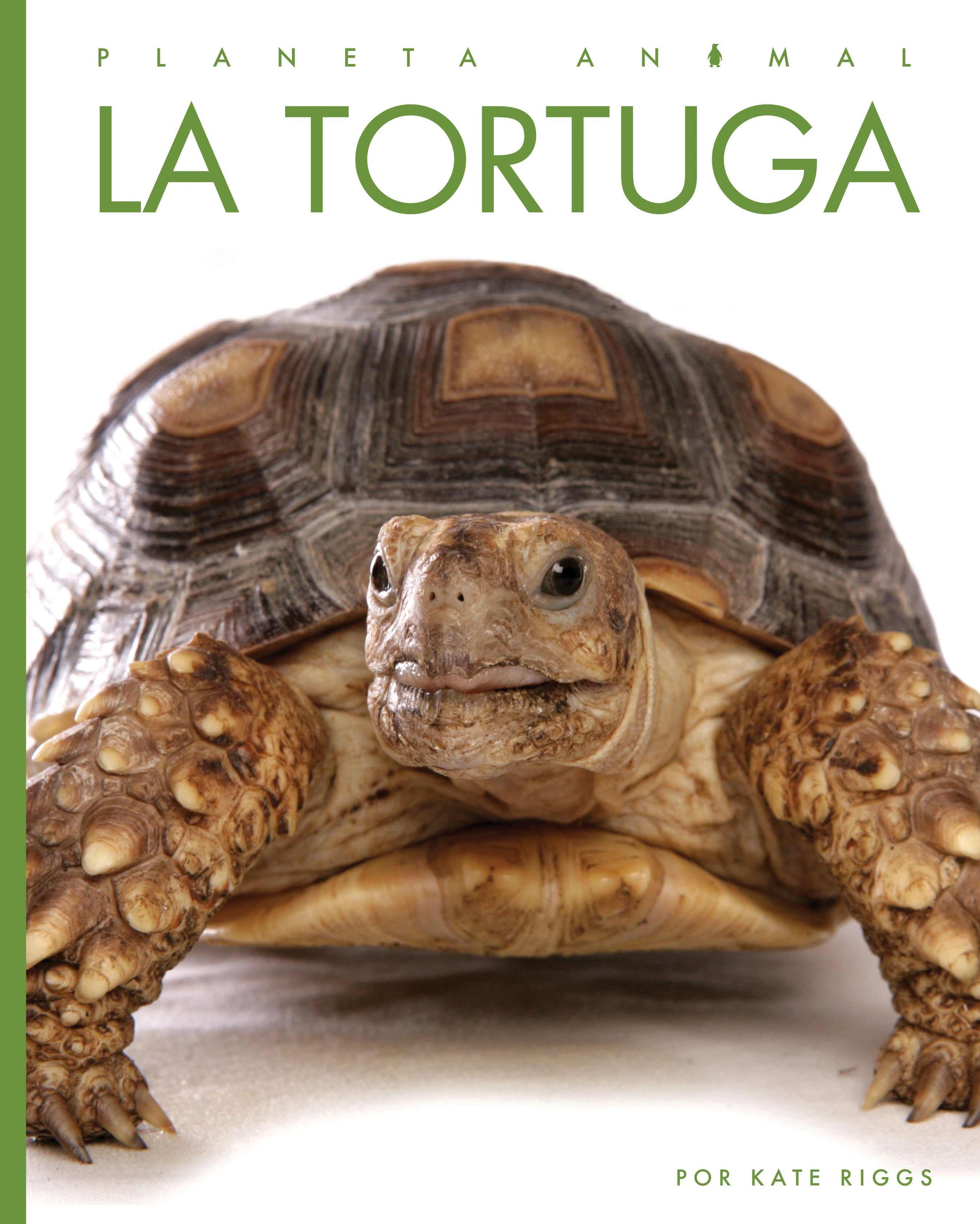 La Tortuga 9781640266834 - Learn About Turtles with This Educational Book | Perfect for Kids, Nature Lovers & Classroom Use