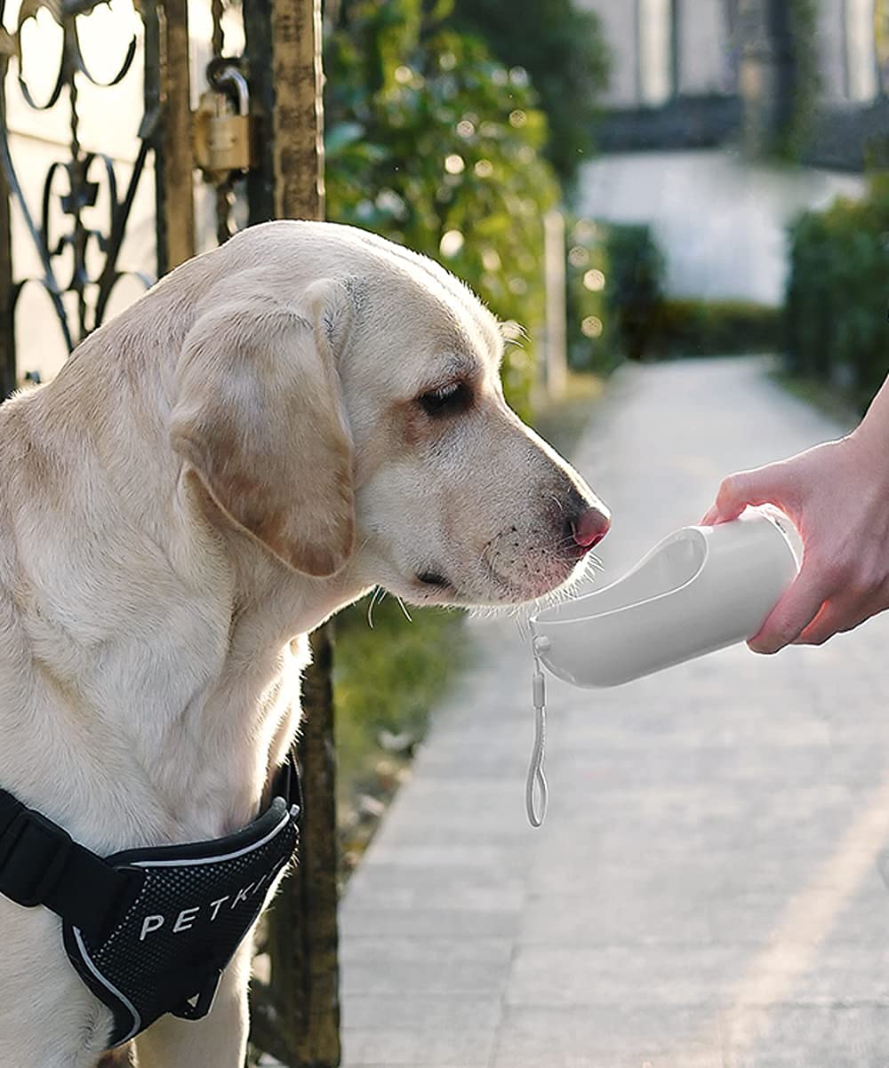 PETKIT Leak-Proof Dog Water Bottle with Bowl | BPA-Free & Portable for Hiking, Travel