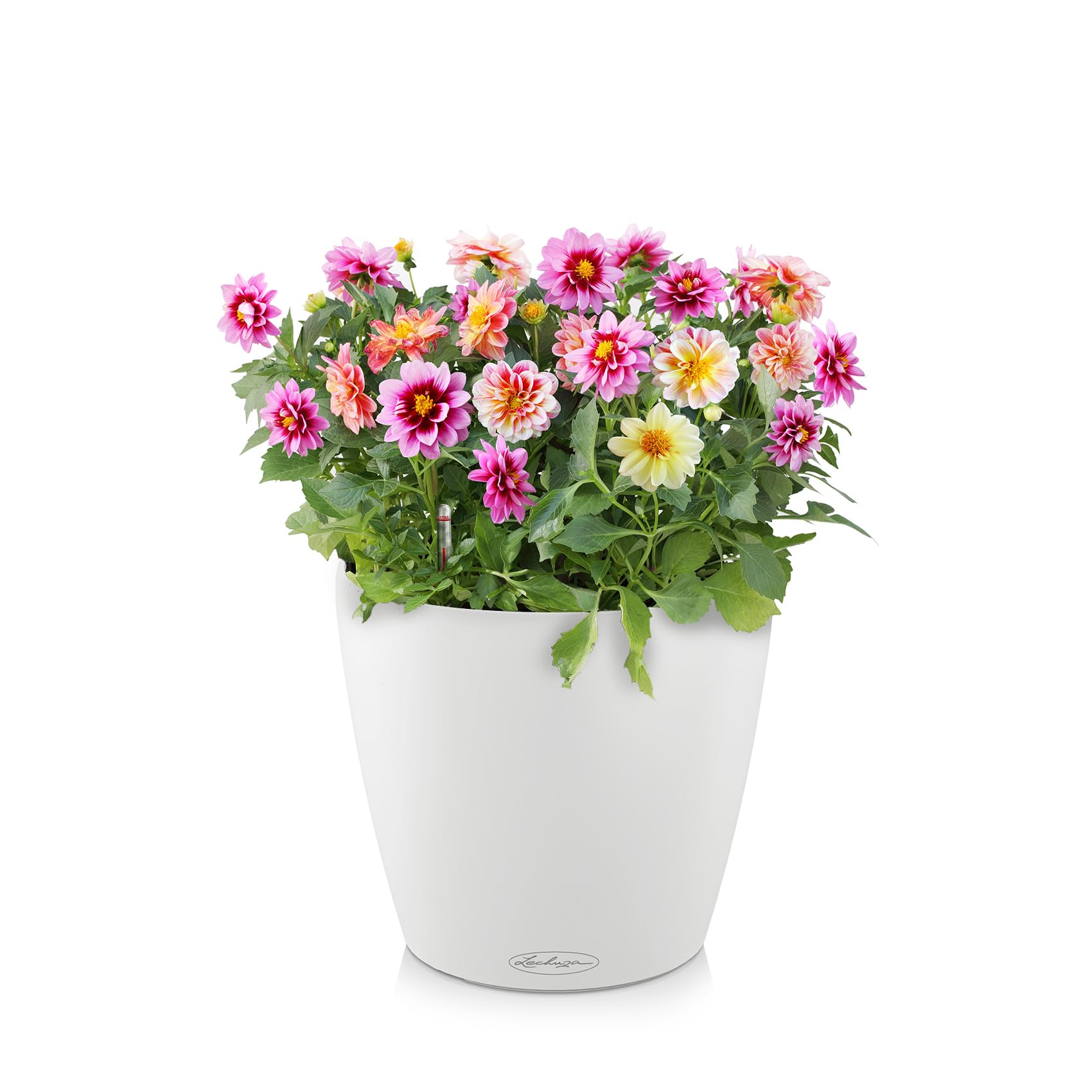Lechuza Classico 35 Self-Watering Planter - 14 Inch White Matte Flower Pot for Indoor & Outdoor Plants - Perfect for Home, Office, Patio & Garden Decor