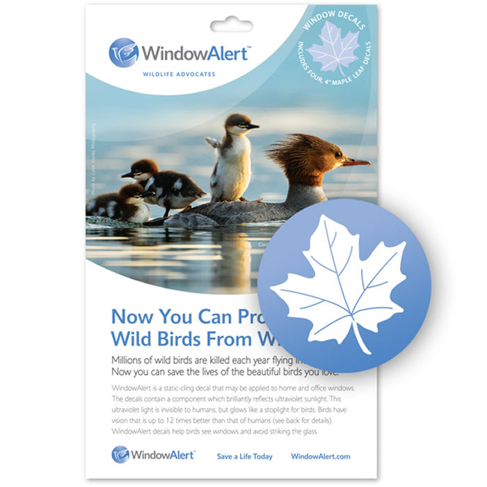 Maple Leaf WindowAlert Decals - Bird Deterrent Window Stickers for Home & Office - Prevent Bird Collisions with UV Reflective Decals | Perfect for Glass Doors, Windows & Skylights