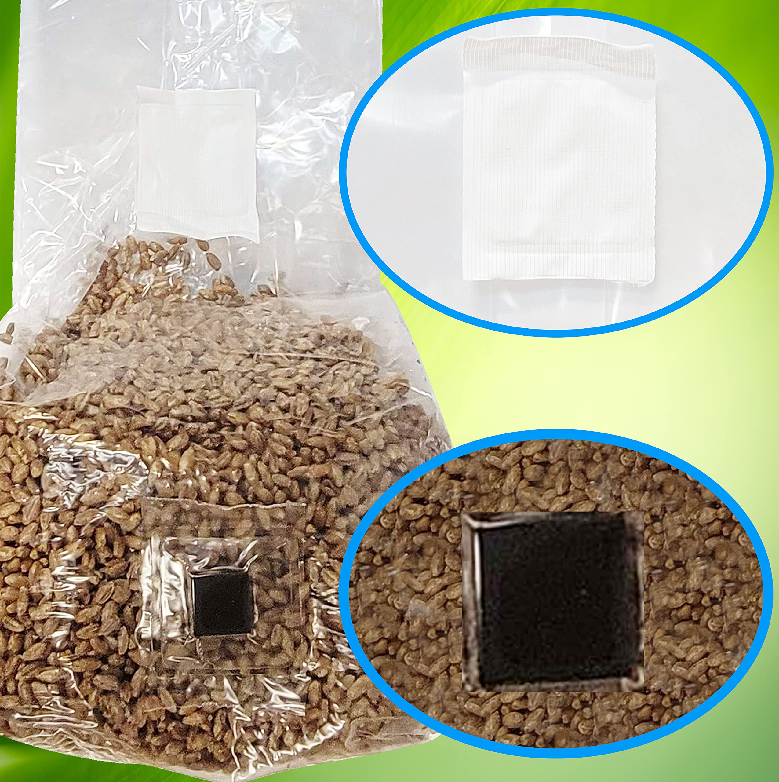 Premium Mushroom Grow Bags with Self-Healing Injection Port - 15 Pack - 0.2 Micron Filter Patch - 3mm Thick Polypropylene - Autoclavable, Durable & Tear-Resistant for Home Mushroom Cultivation, Organic Farming & Mycology Research