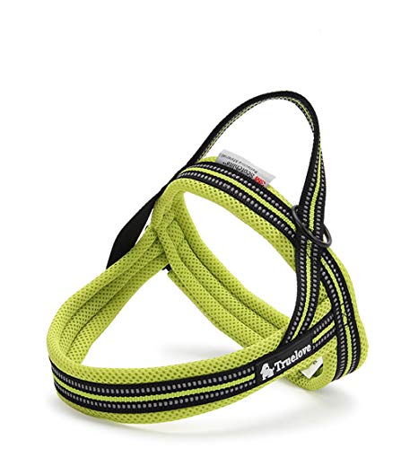 Neon Yellow