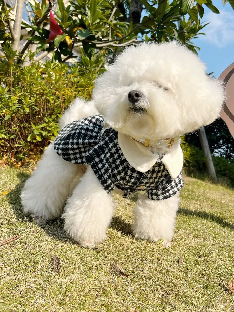 QWINEE 3-Piece Dog Dress Set - Geometric Princess Dress with Flower Bow & Pearl Necklace for Small to Medium Dogs & Cats | Perfect for Pet Parties, Photo Shoots & Special Occasions