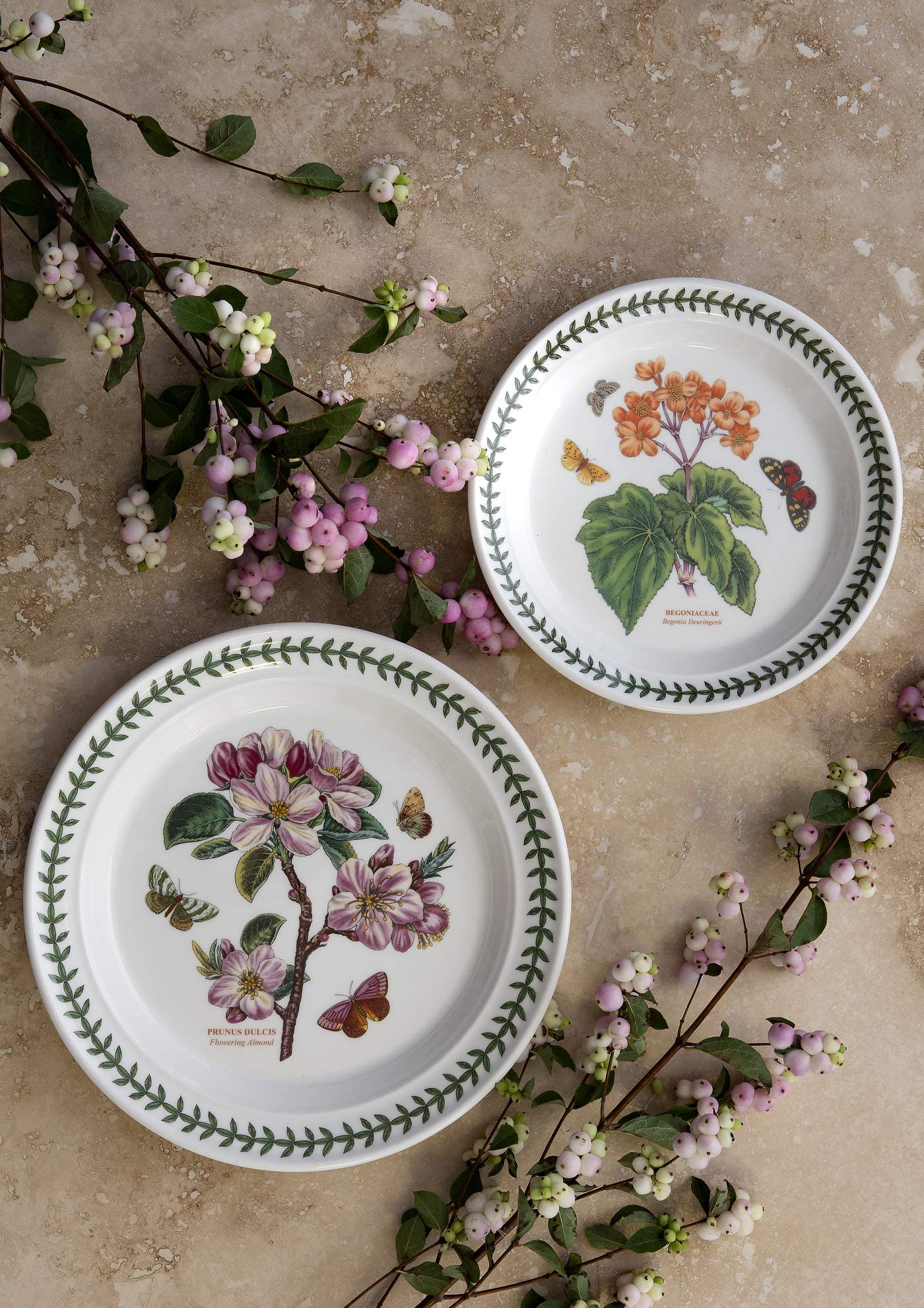 Portmeirion Home & Gifts BGCW05072 6-Piece Ceramic Salad Plates Set, 8-Inch/20cm Dinnerware - Perfect for Family Meals, Dinner Parties & Holiday Entertaining