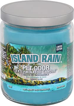 13oz Island Rain Limited Edition Scented Candle - Long-Lasting Fragrance for Home, Office & Relaxation