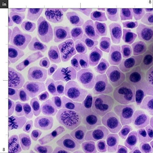 Science Biology Purple Printed Cotton Fabric by Spoonflower - Premium Petal Signature Cotton for Sewing, Quilting, Apparel & Home Decor | Perfect for DIY Crafts, Dressmaking & Upholstery Projects
