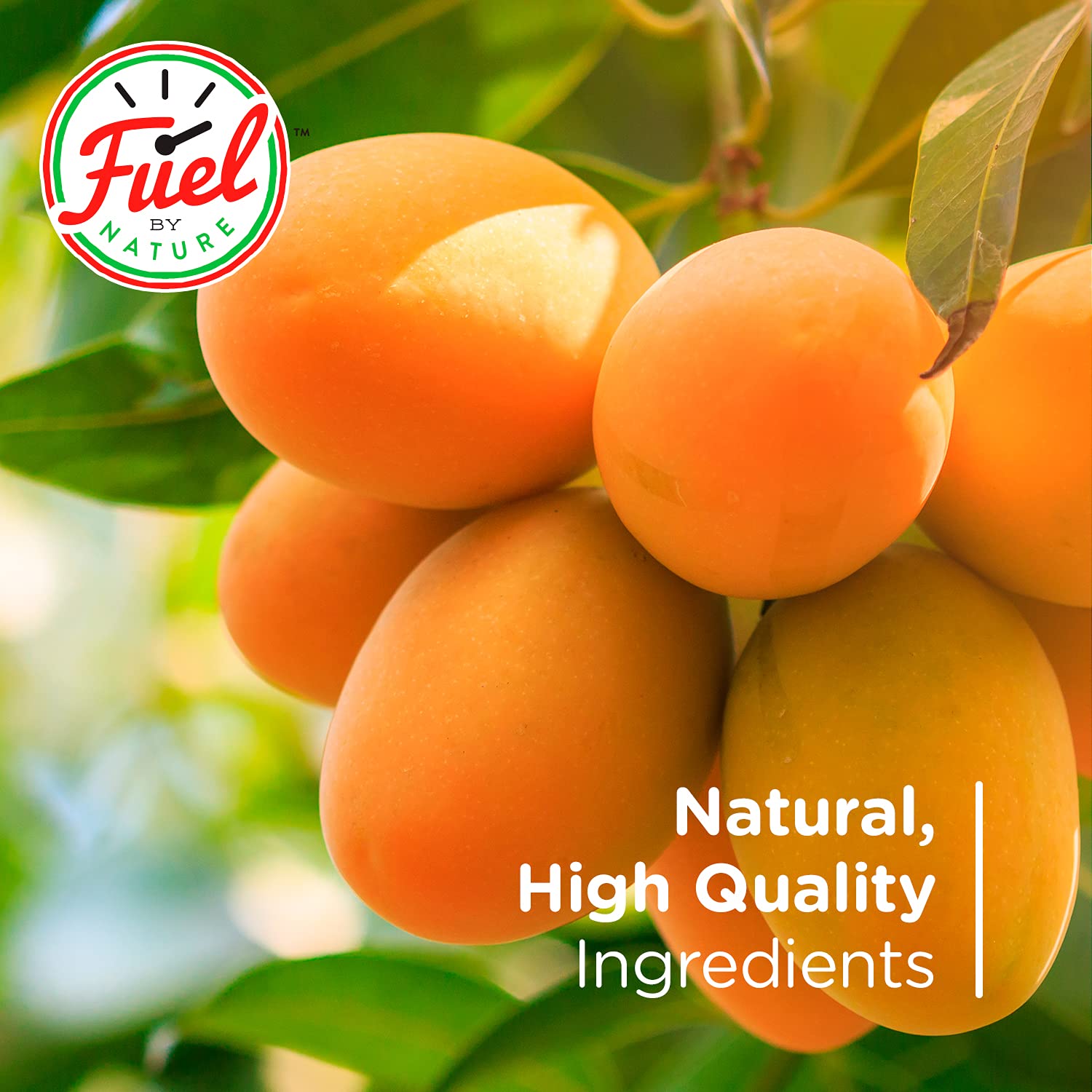 Premium Dried Mango Slices by Fuel By Nature | 3lb Bulk Bag | Organic Philippine Mangoes | High Energy Healthy Snack | Vegan, Gluten-Free | Perfect for Hiking, Office & Kids Lunchboxes