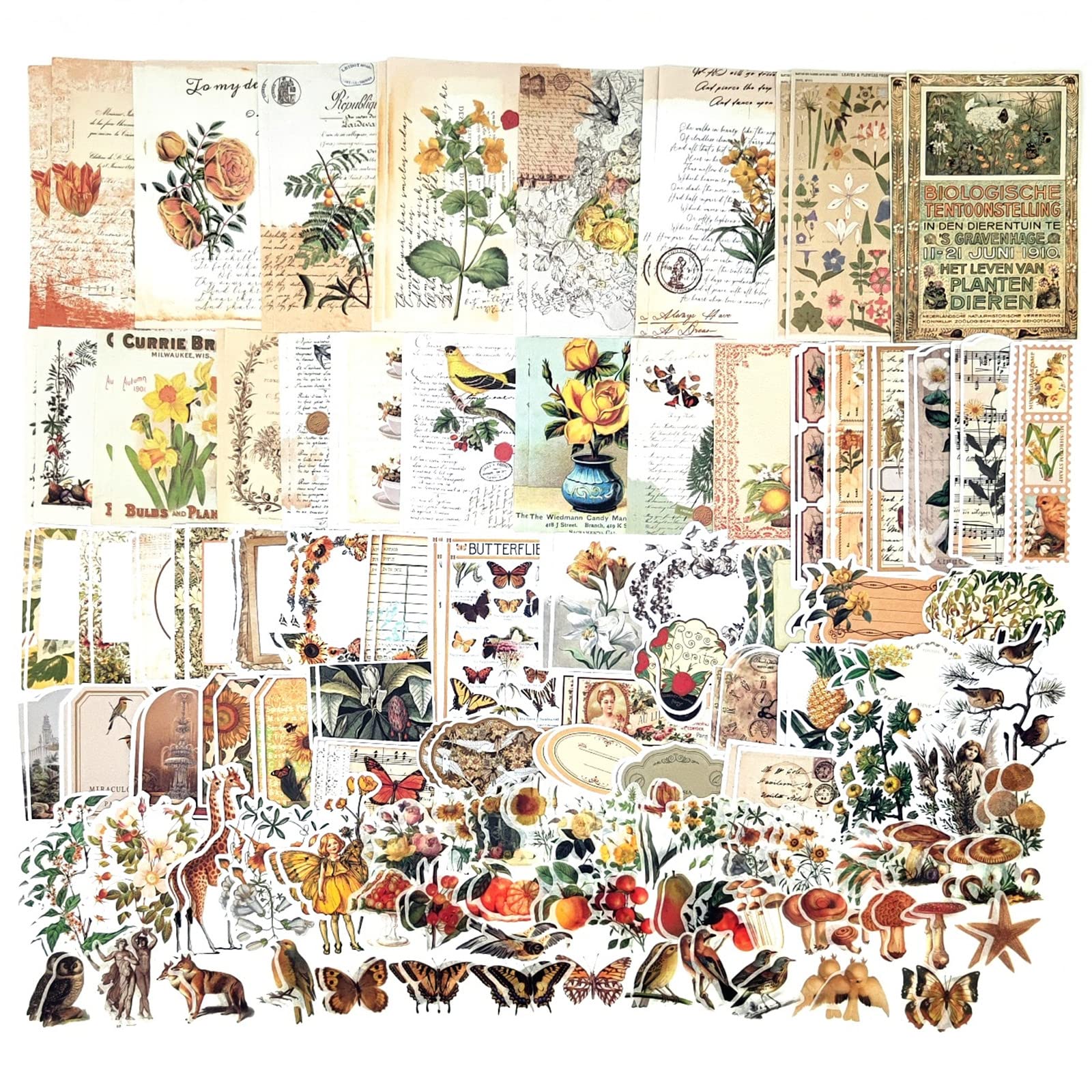 200PCS Vintage Scrapbooking Supplies Kit - Decorative Stickers, Washi Tapes & Ephemera for Journaling, Bullet Journals, Junk Journals & Planners - Perfect for Cottagecore Aesthetic, Room Decor, Wall Art & Collage Albums (Ideal for DIY Crafts, Memory Keeping & Creative Gift Giving)