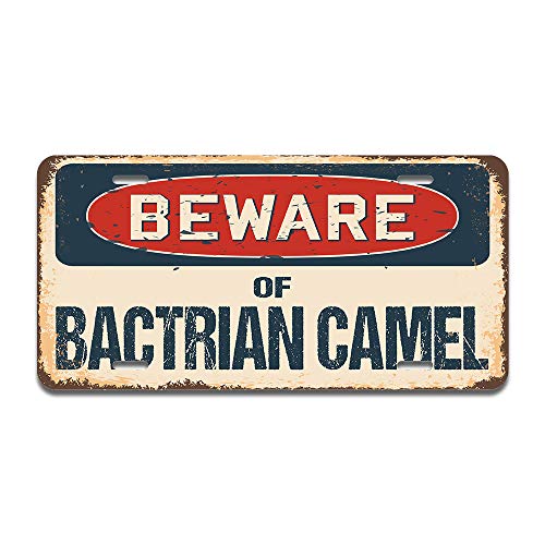 Beware of Bactrian Camel
