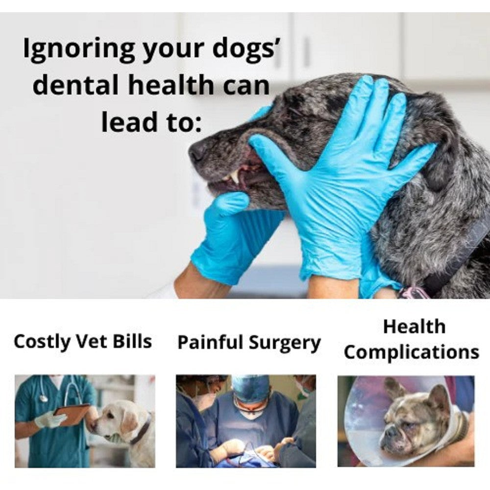 Premium Puppy Toothpaste for Dogs - Natural Filet Mignon Flavor | Freshens Breath & Cleans Teeth | Perfect for Puppy Dental Care & Training Treats