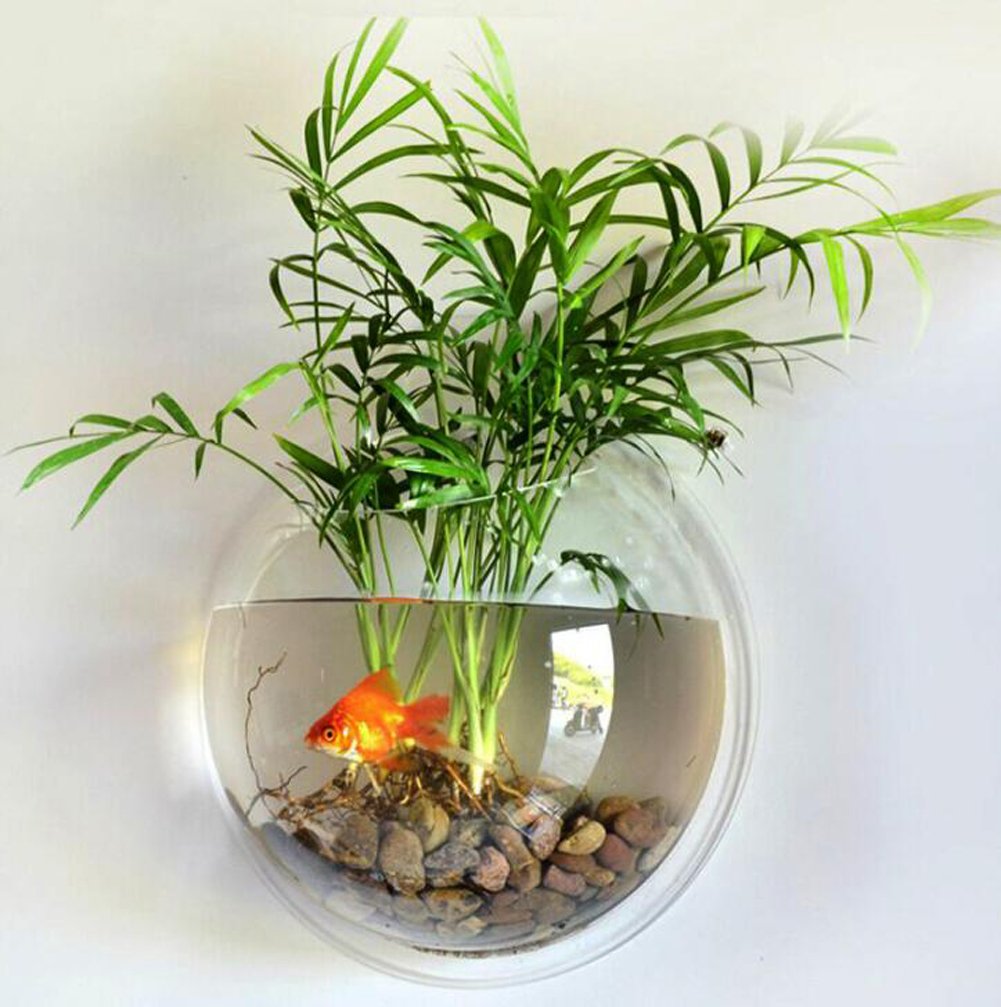 1 Gallon Hanging Wall Mounted Fish Tank Bowl - Clear Large Aquarium for Plants & Fish with Bubble Feature | Perfect for Home, Office & Wall Decor